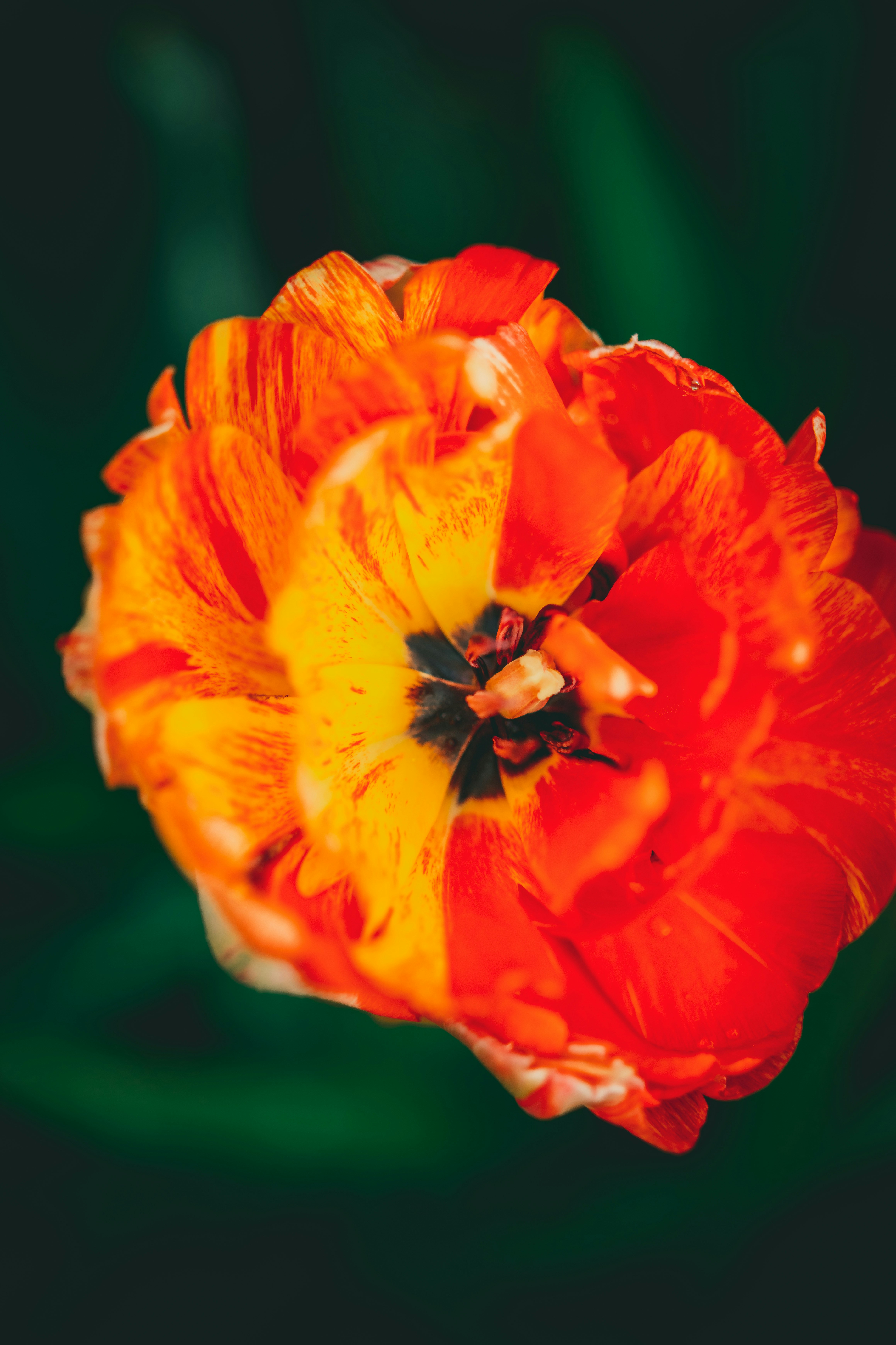 Photo by raimondklavins