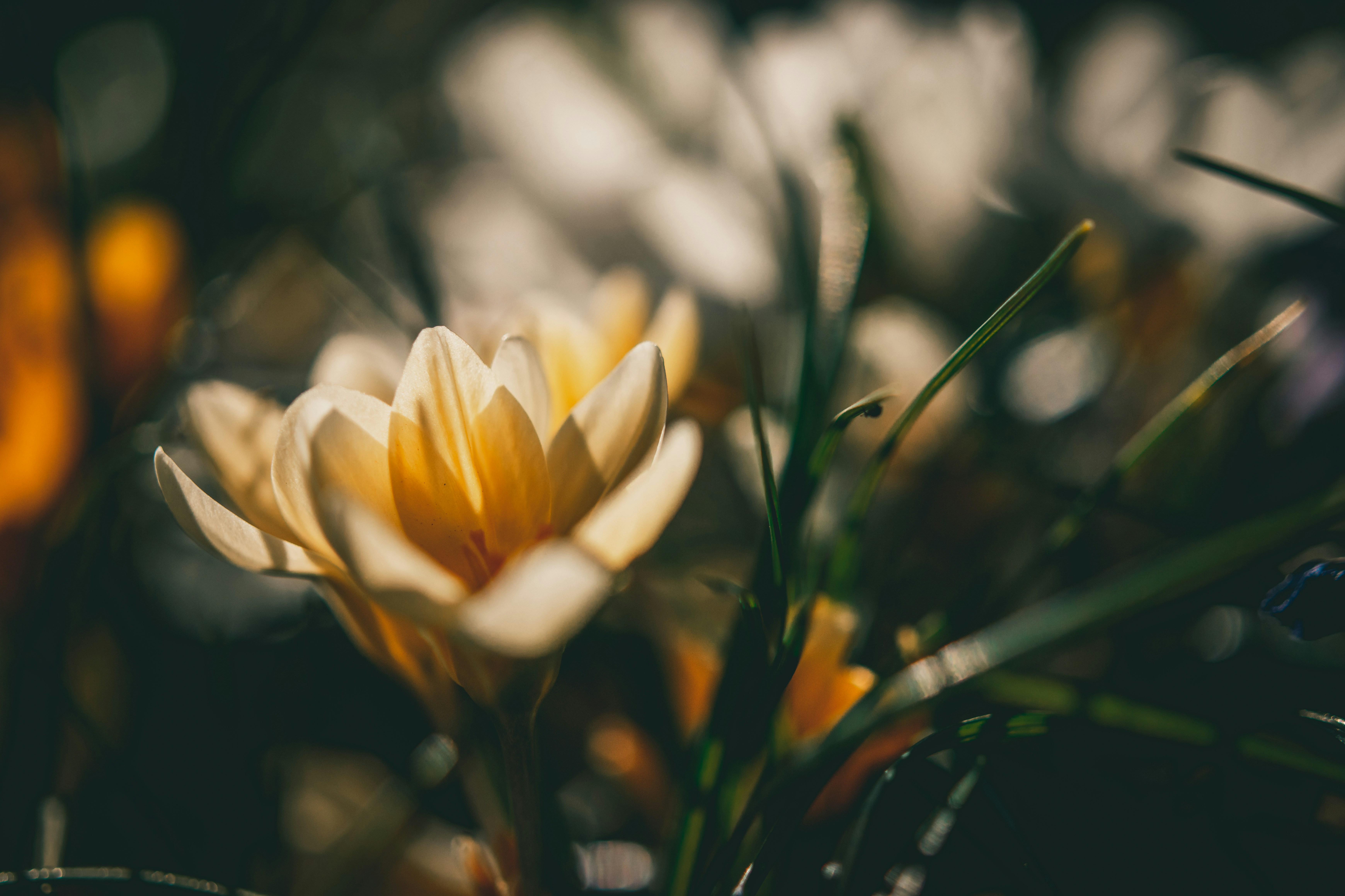 Photo by raimondklavins