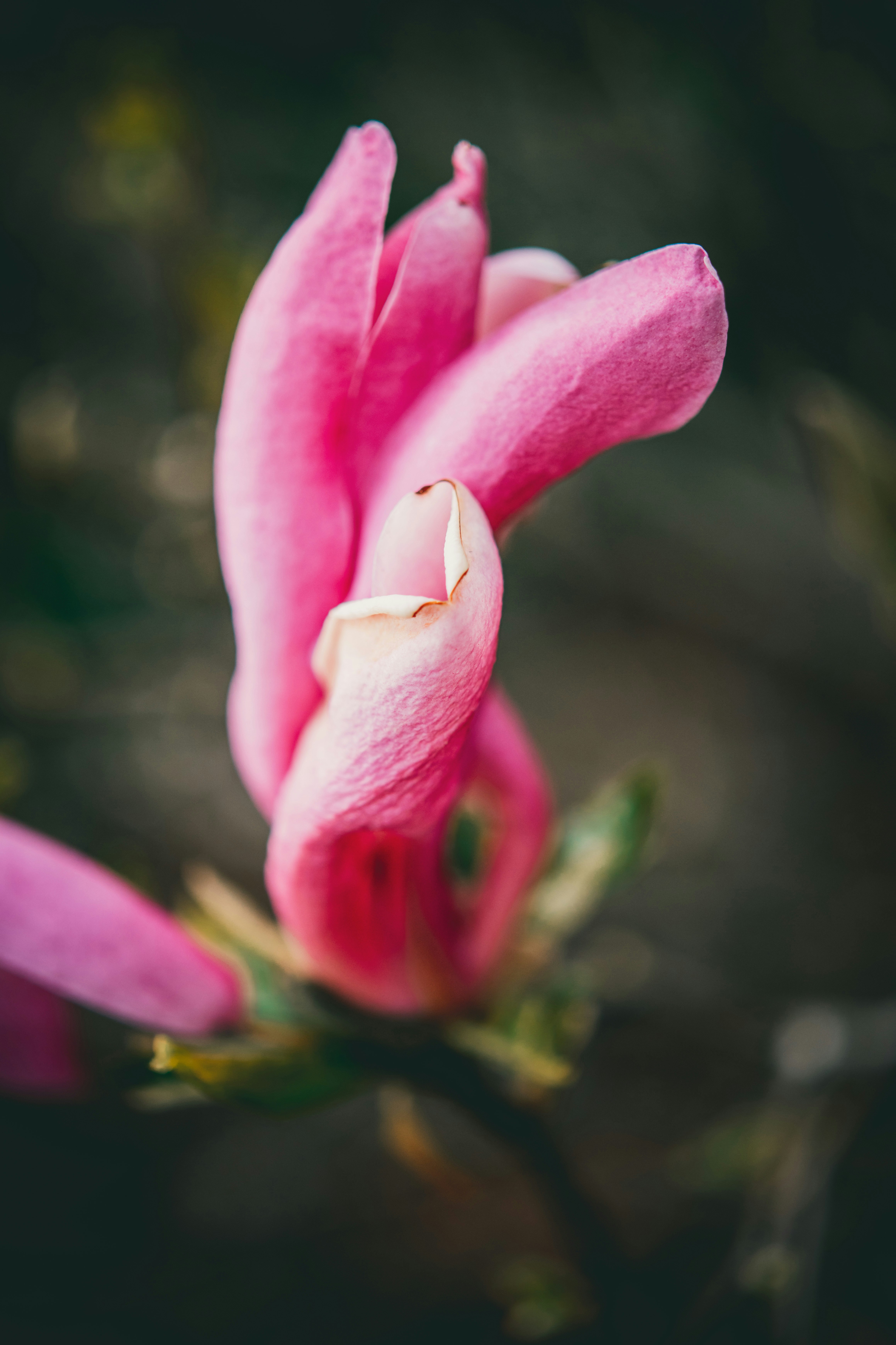 Photo by raimondklavins