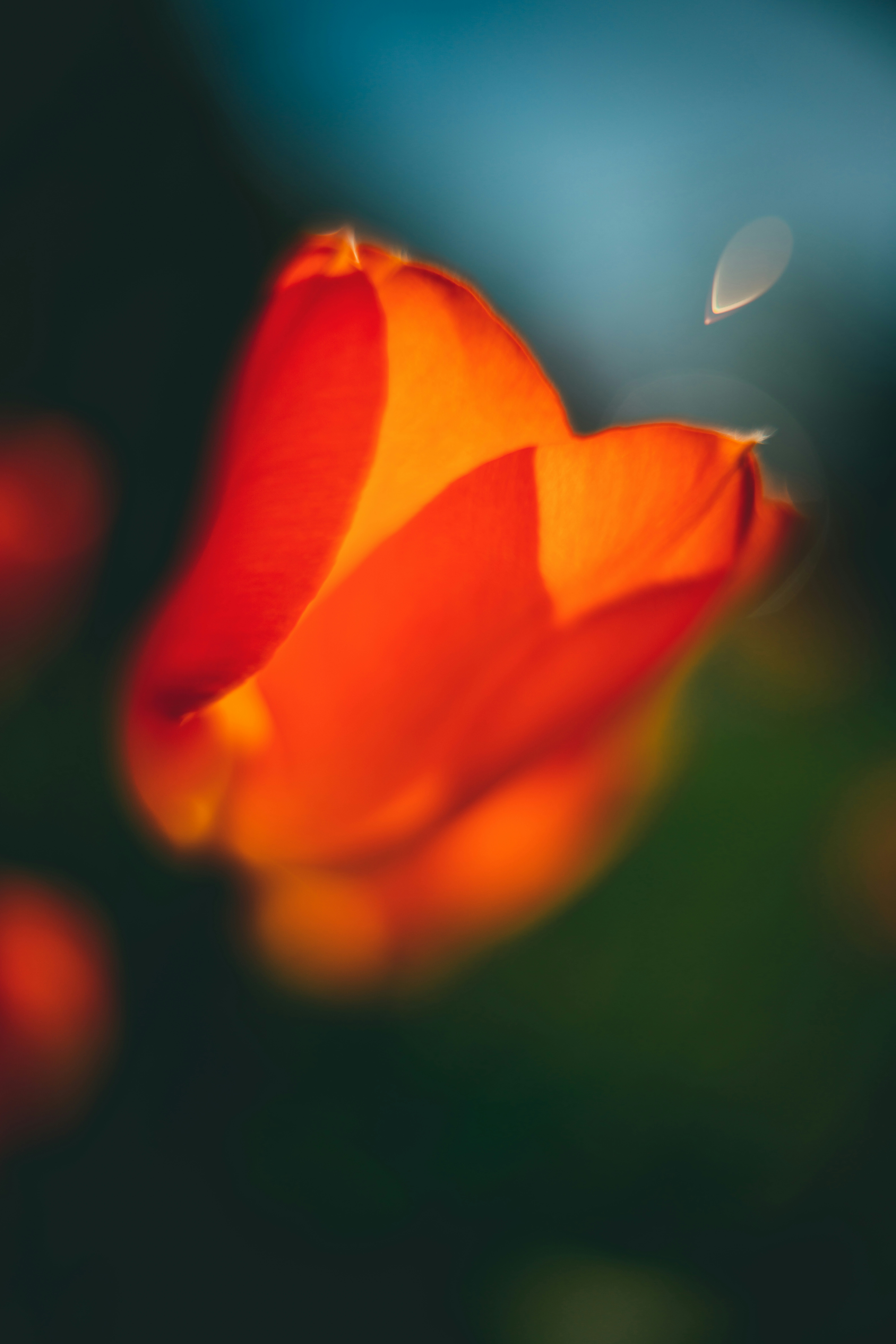 Photo by raimondklavins