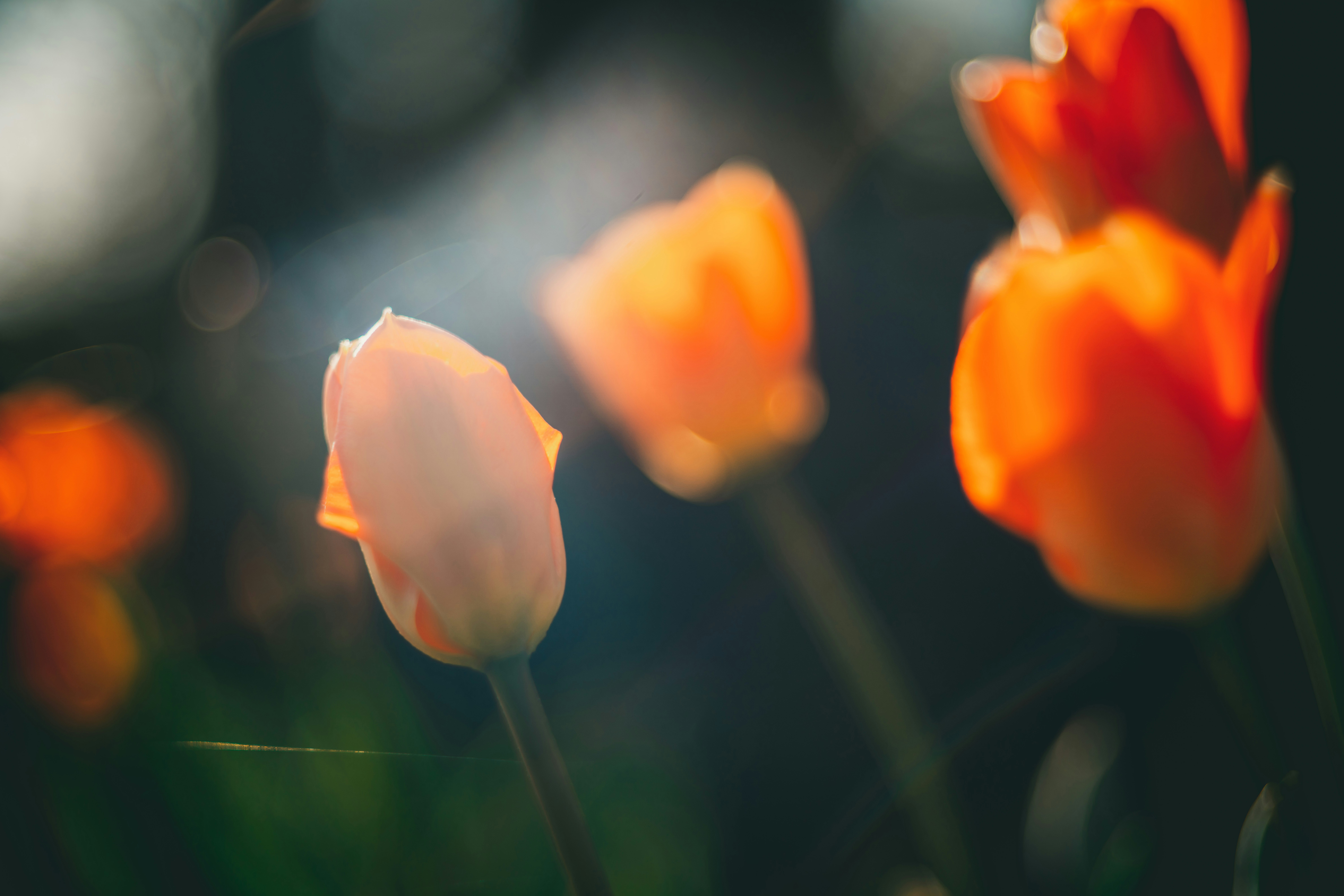 Photo by raimondklavins