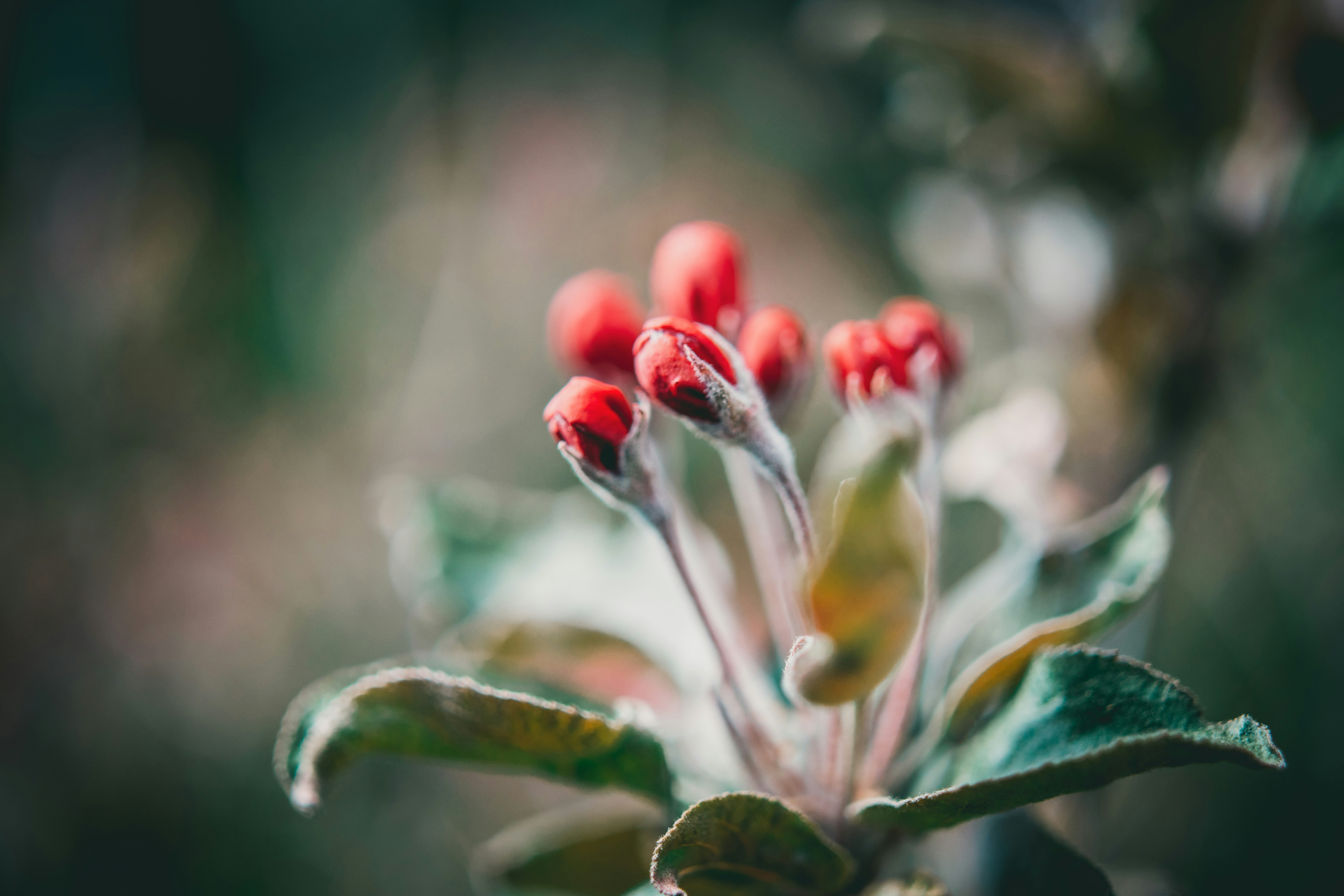 Photo by raimondklavins
