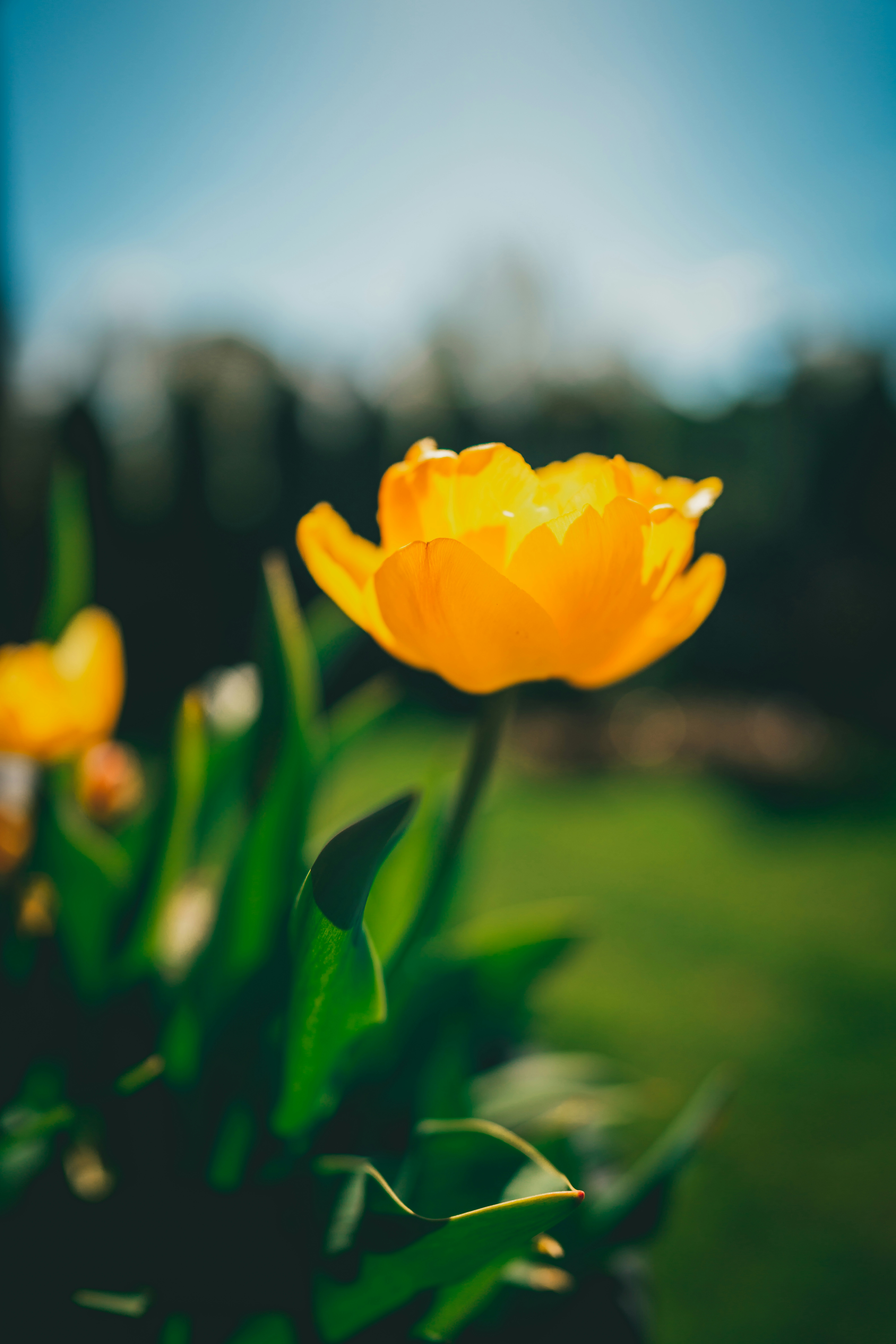 Photo by raimondklavins