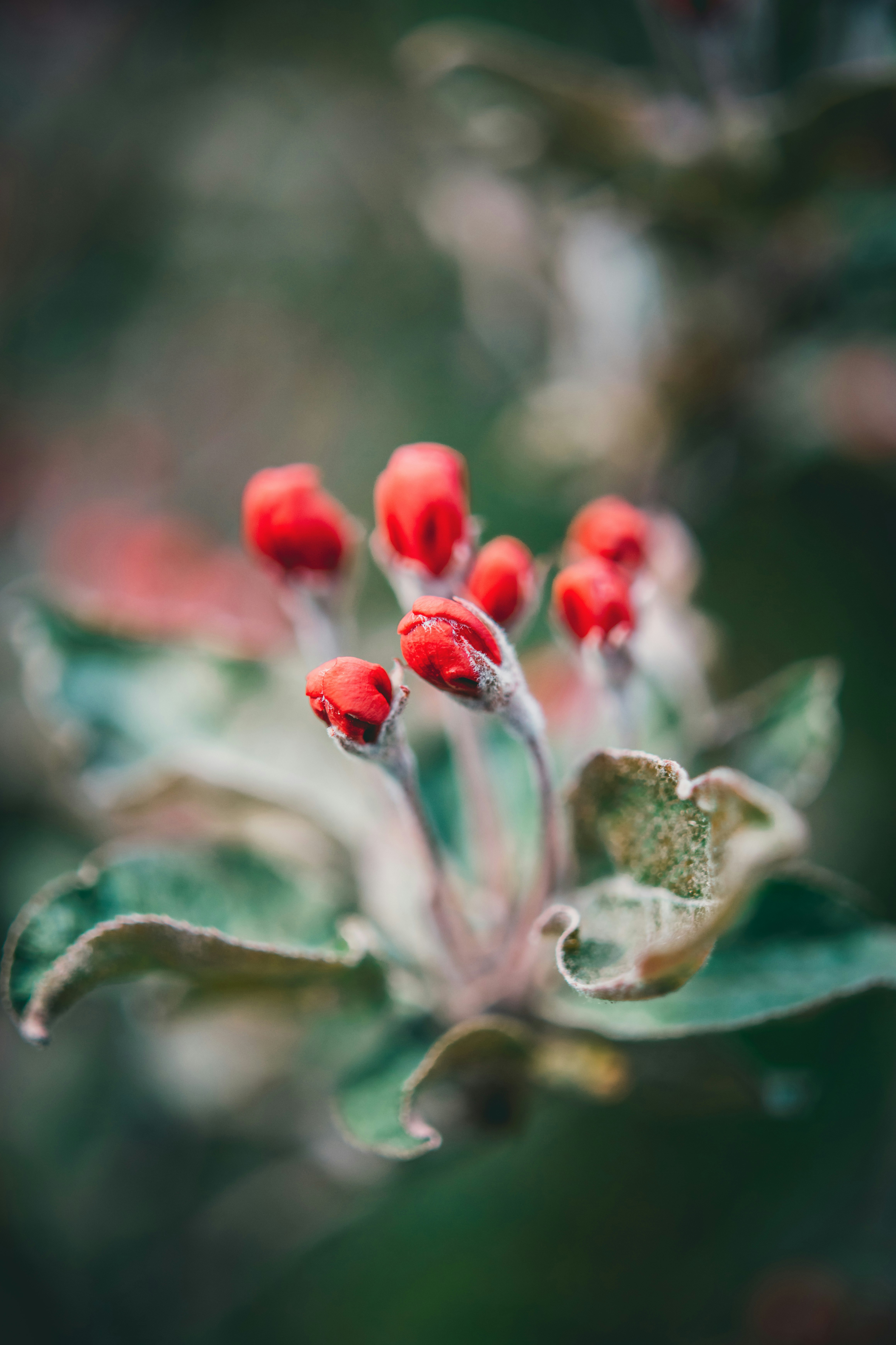 Photo by raimondklavins