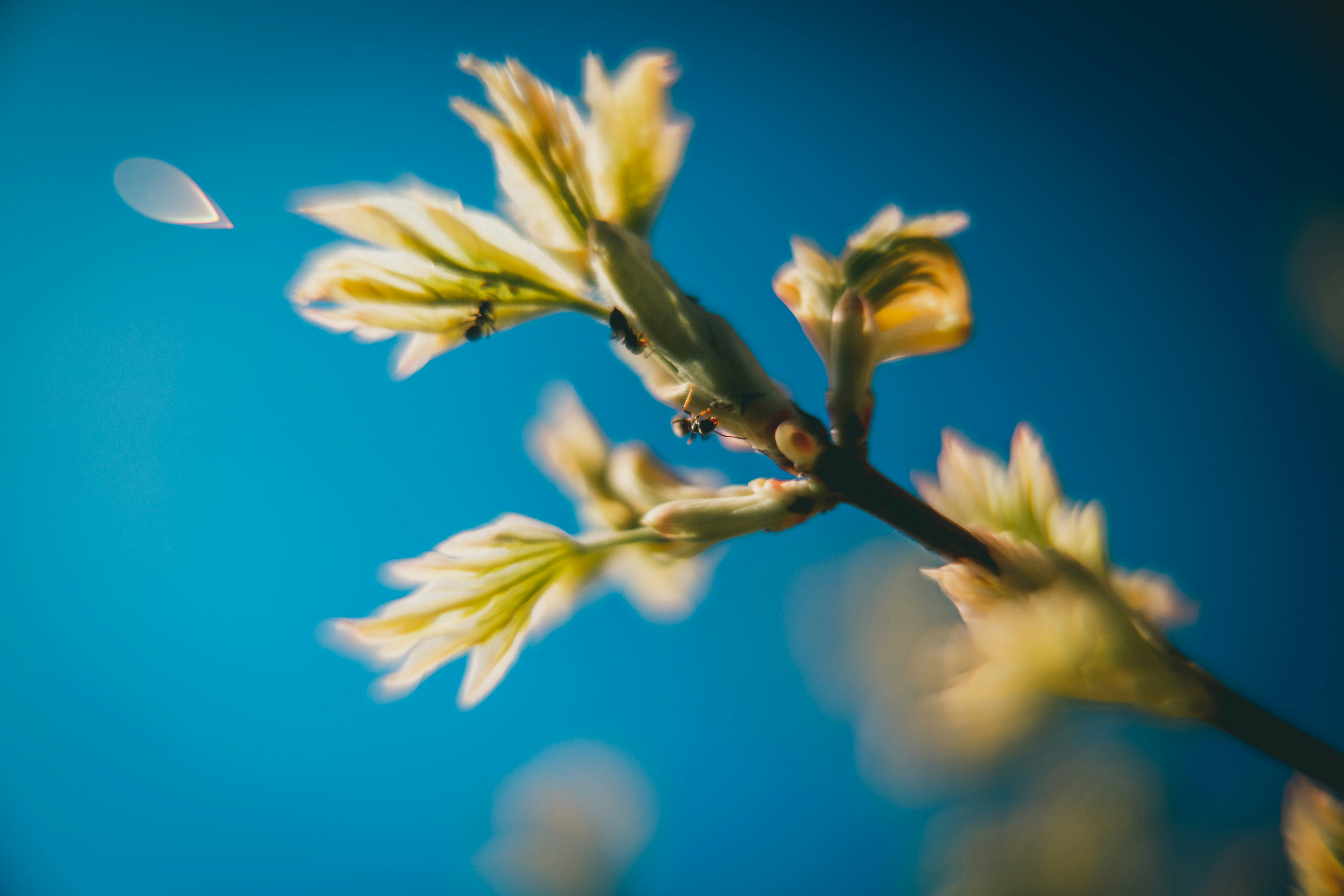 Photo by raimondklavins