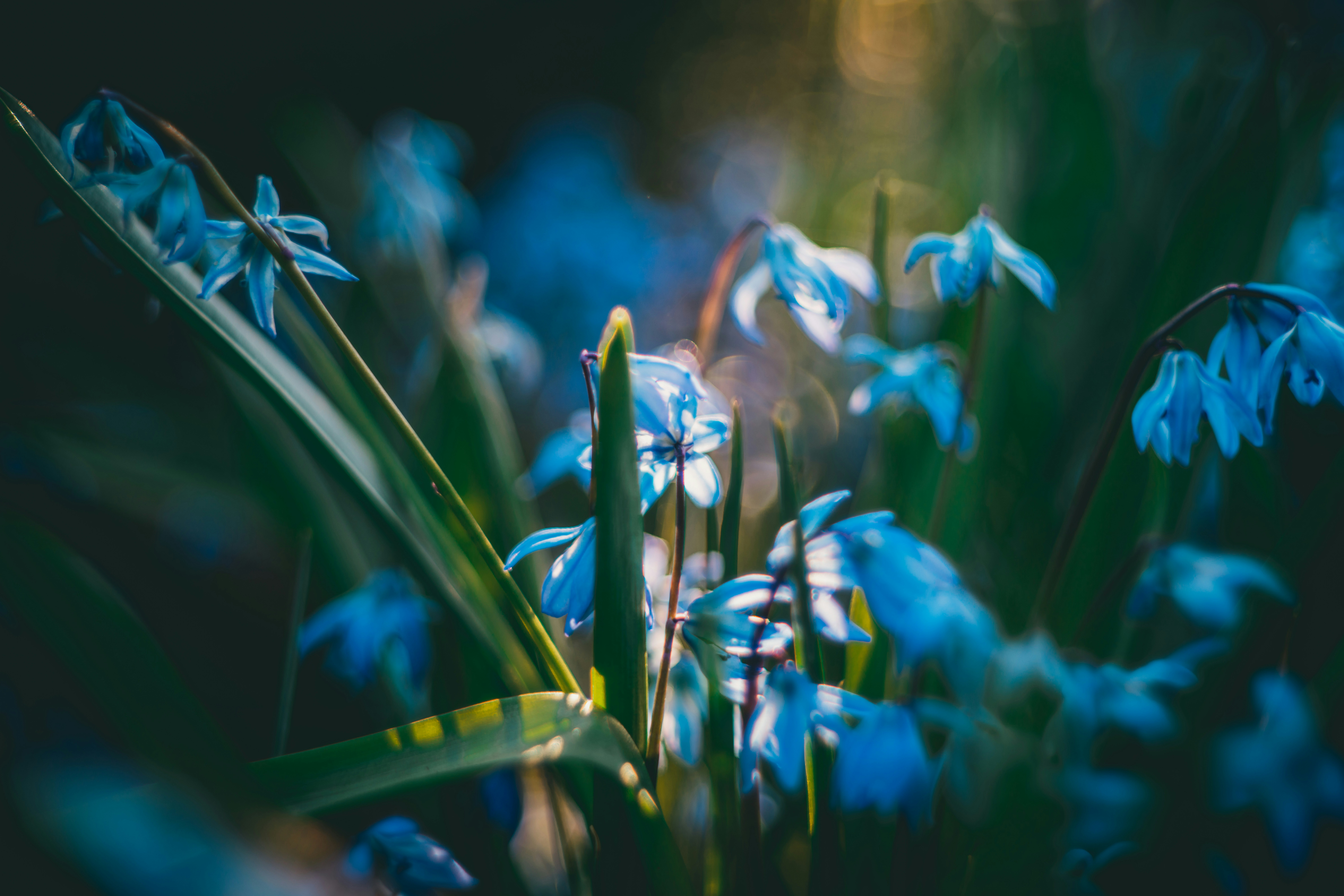 Photo by raimondklavins