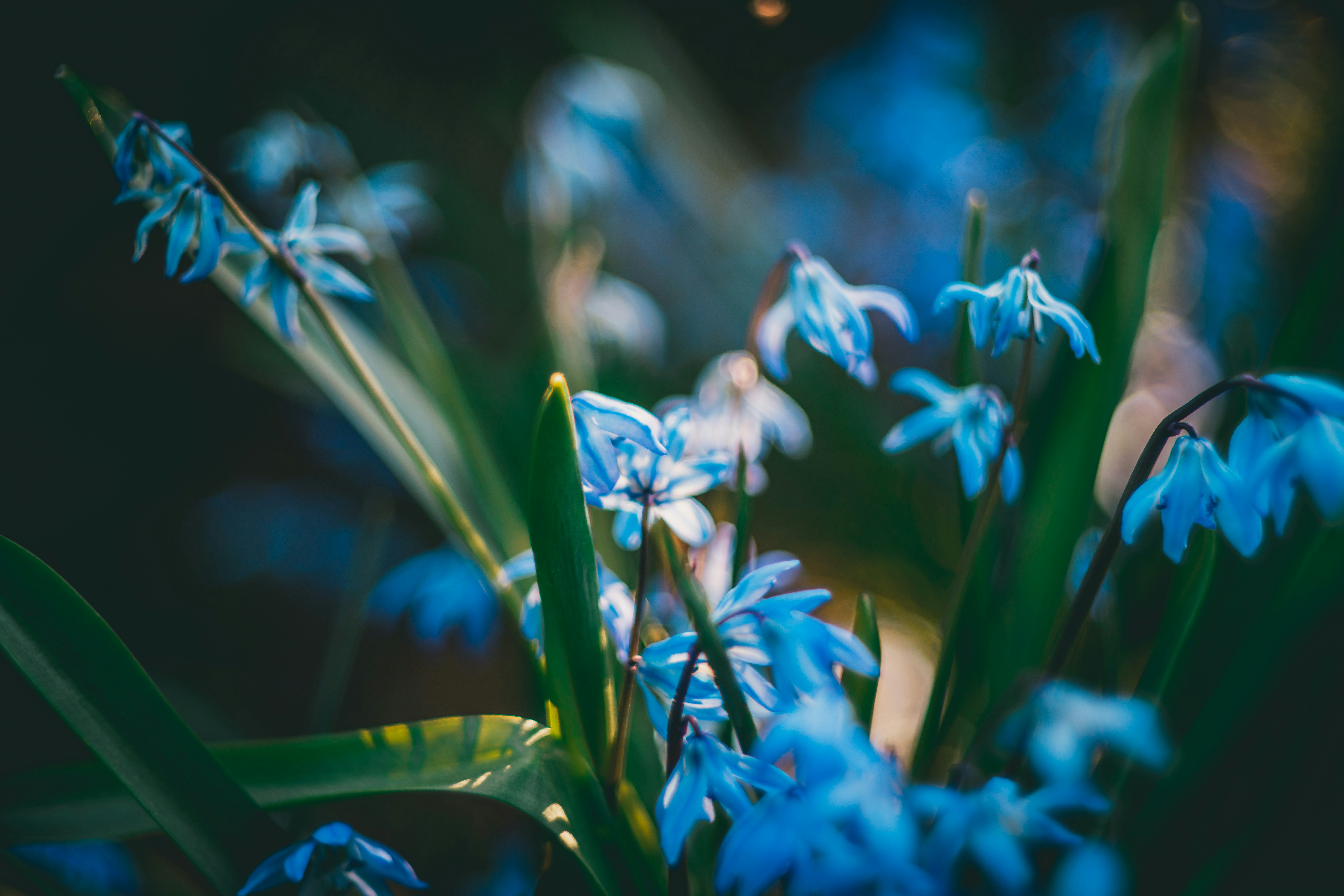 Photo by raimondklavins