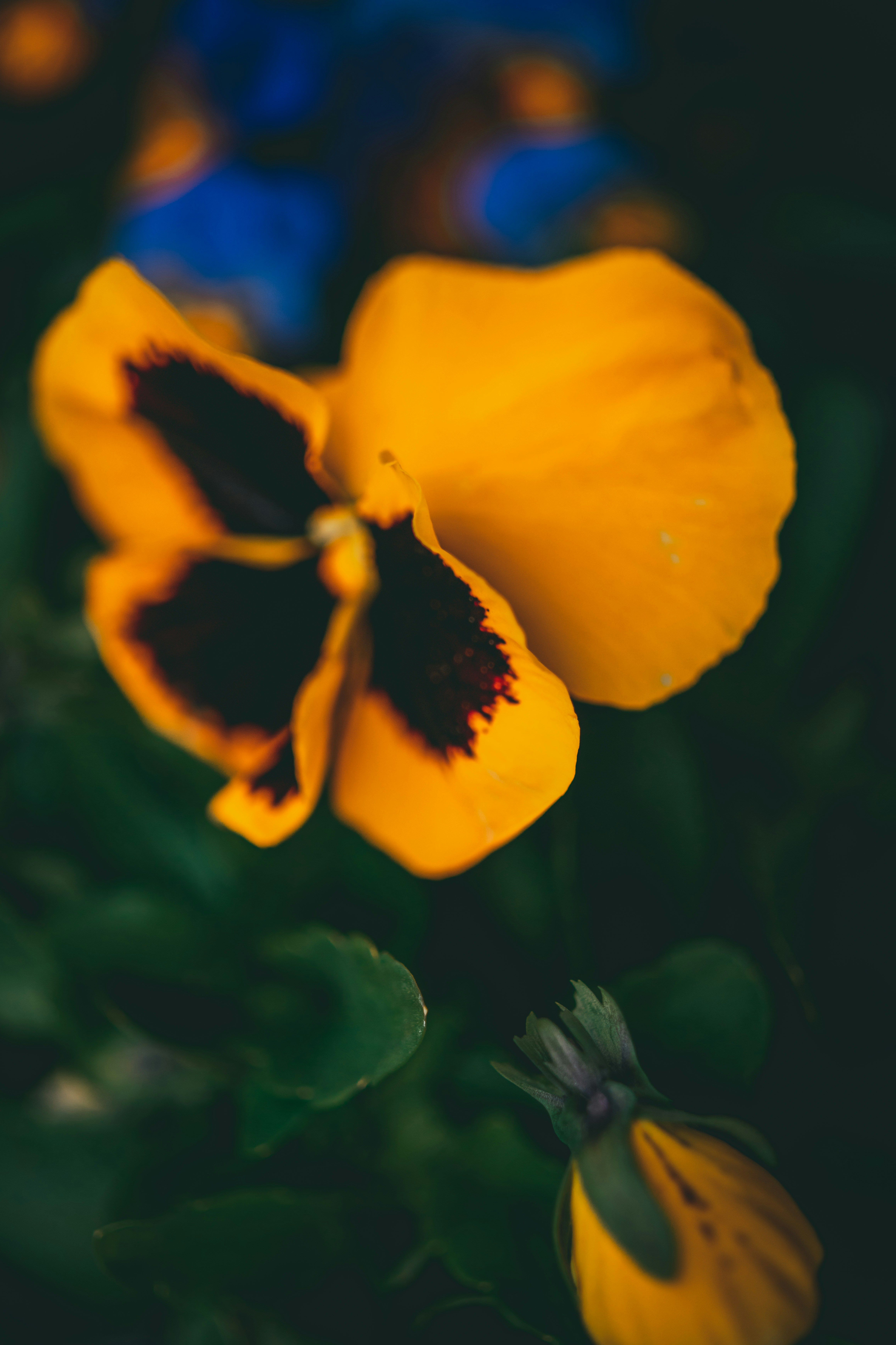 Photo by raimondklavins