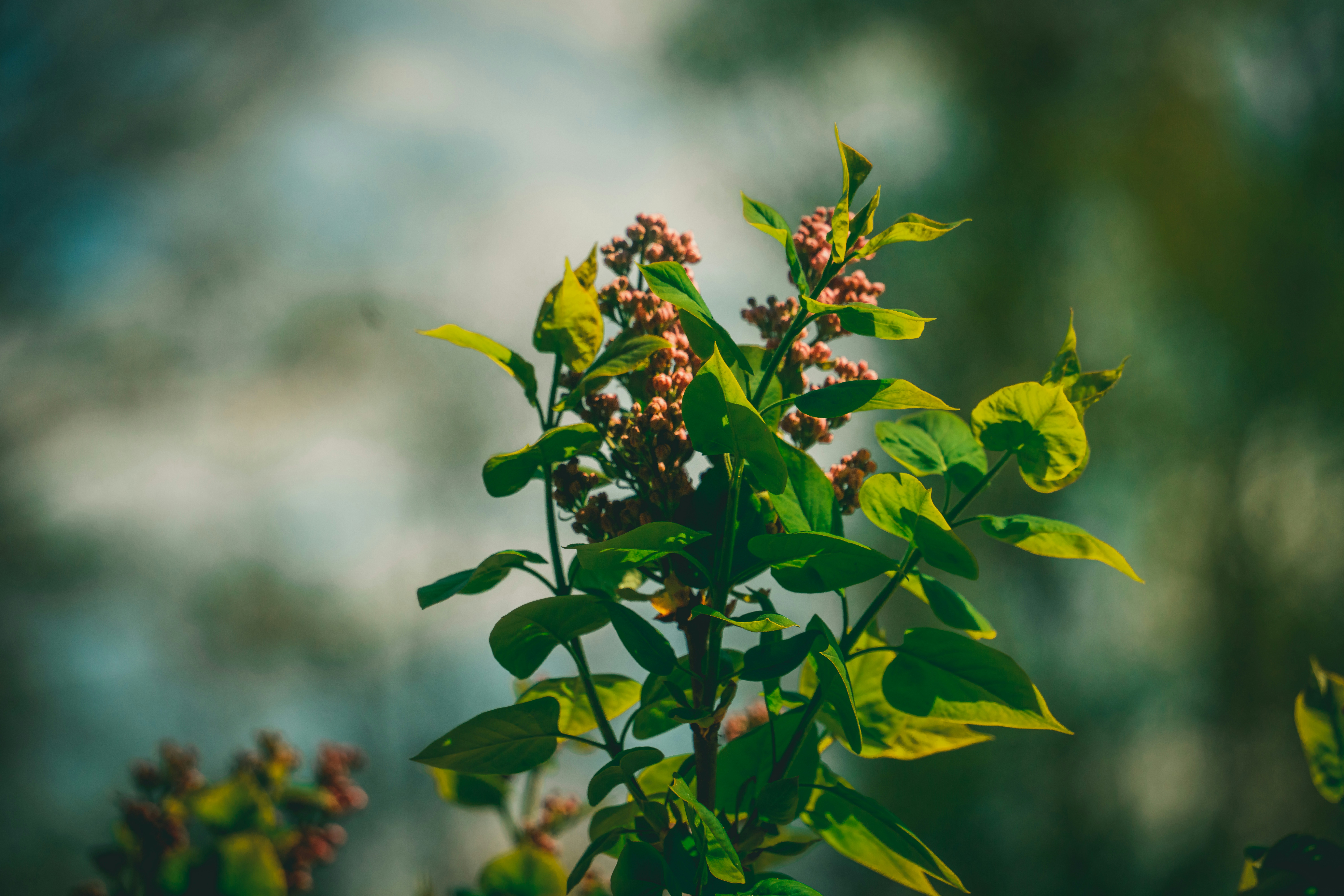 Photo by raimondklavins