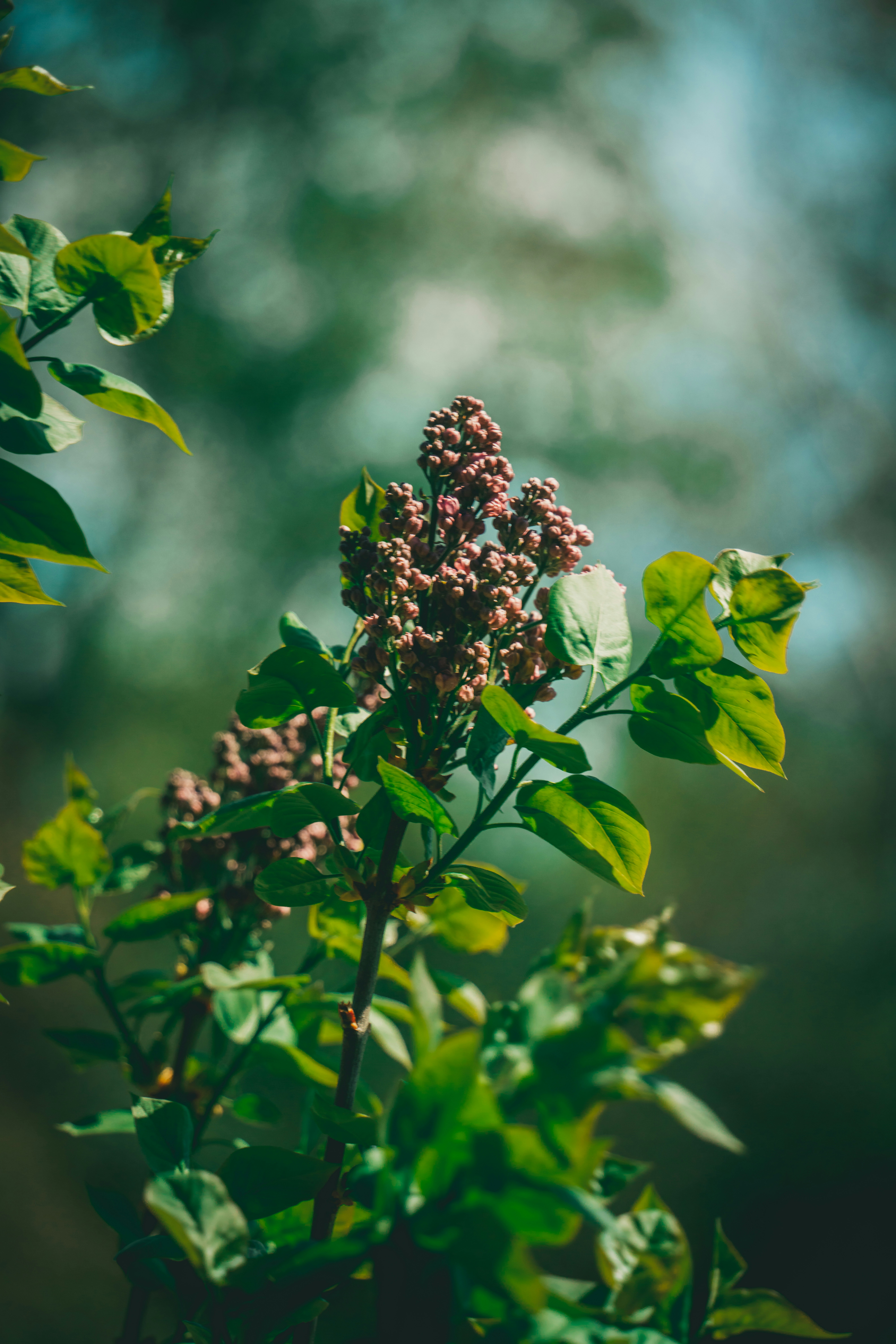 Photo by raimondklavins