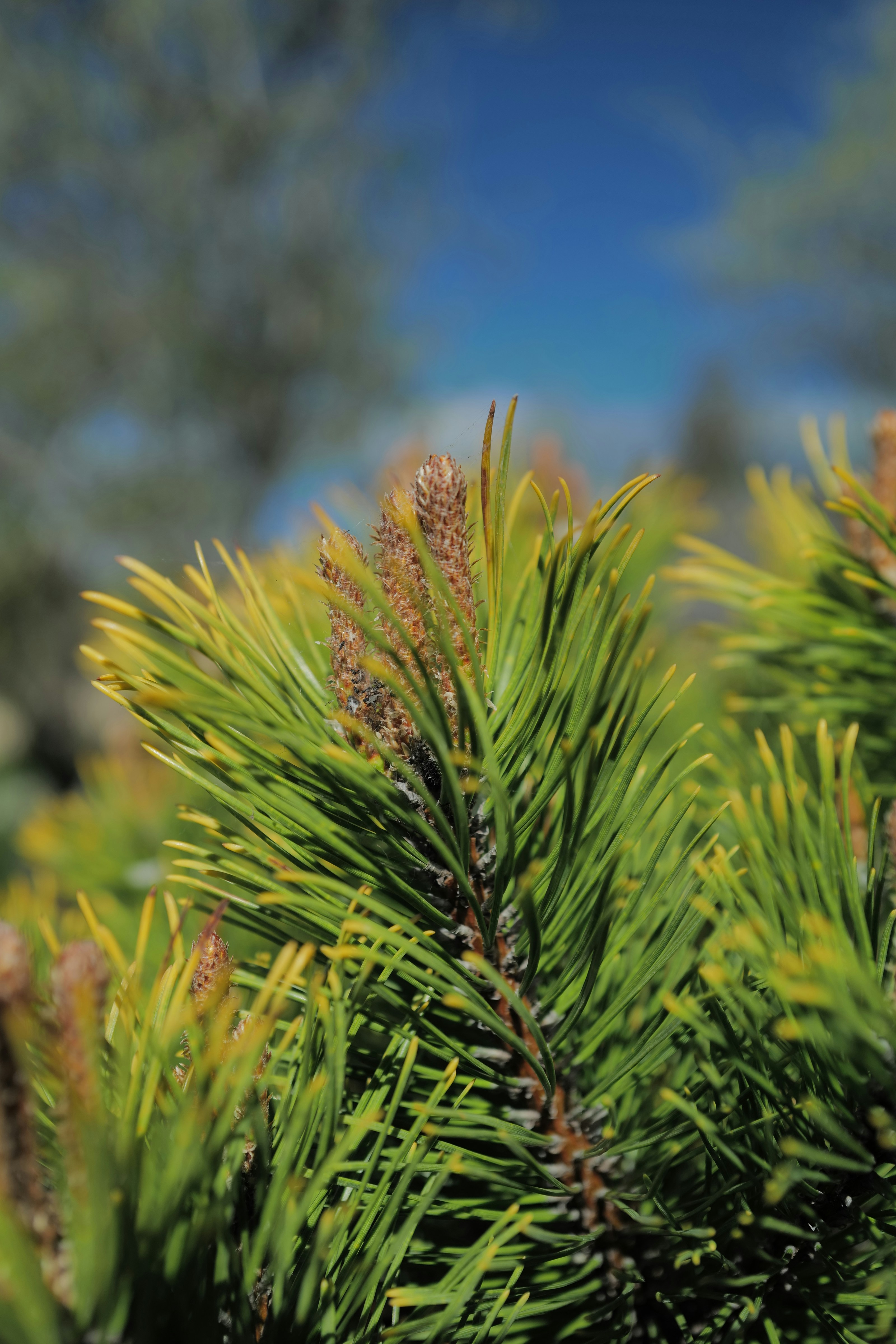 Photo by raimondklavins