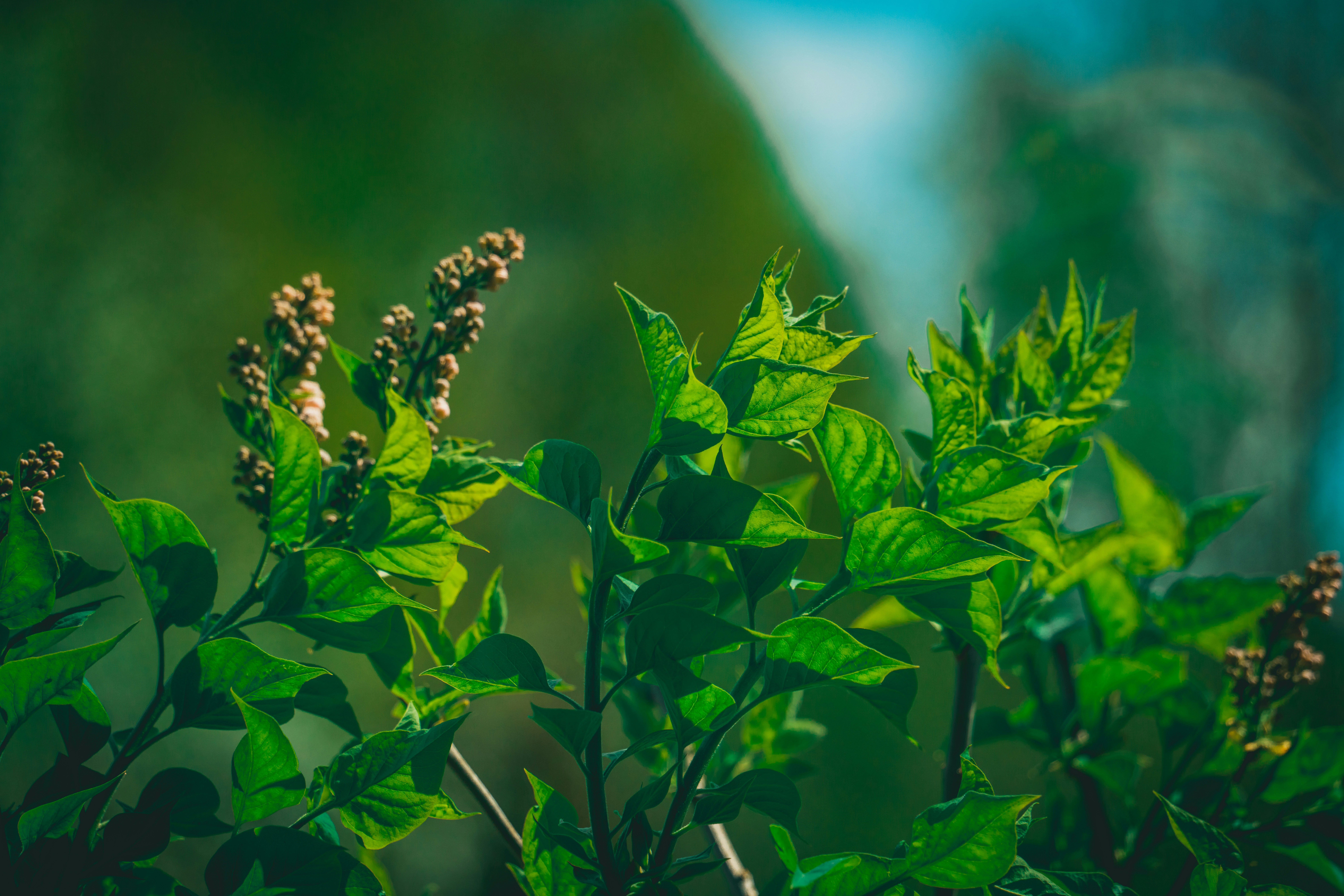 Photo by raimondklavins