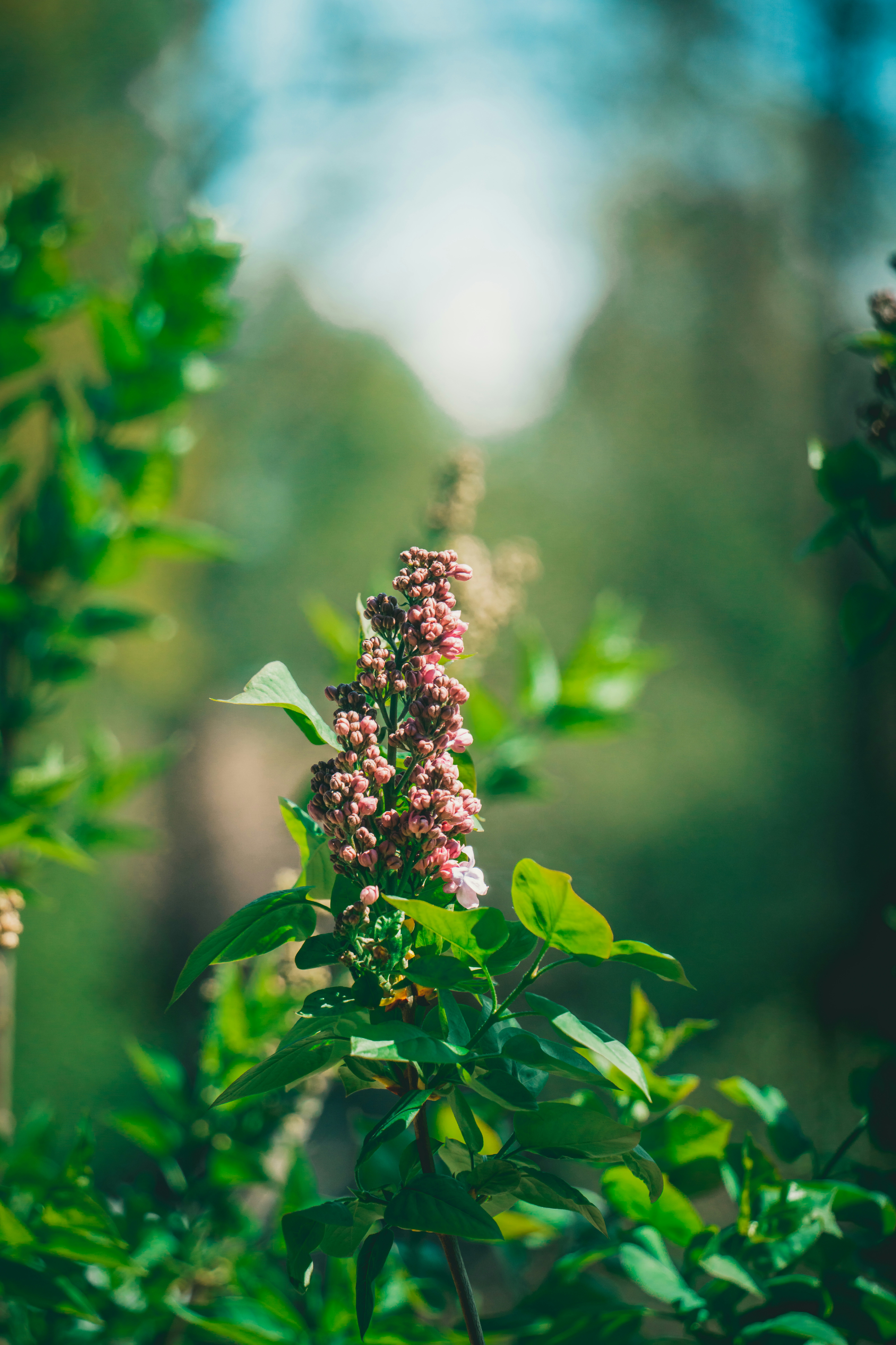 Photo by raimondklavins