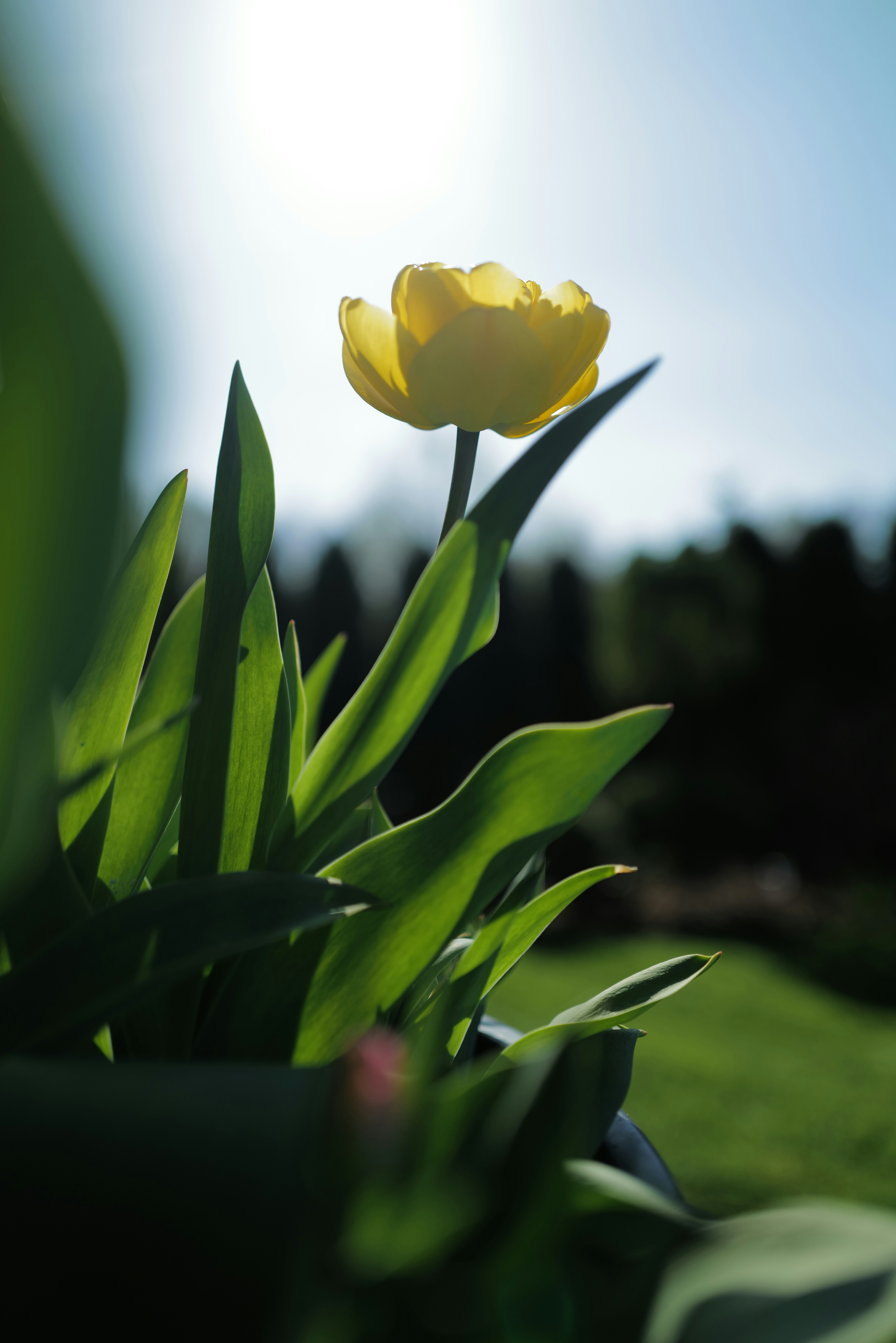 Photo by raimondklavins