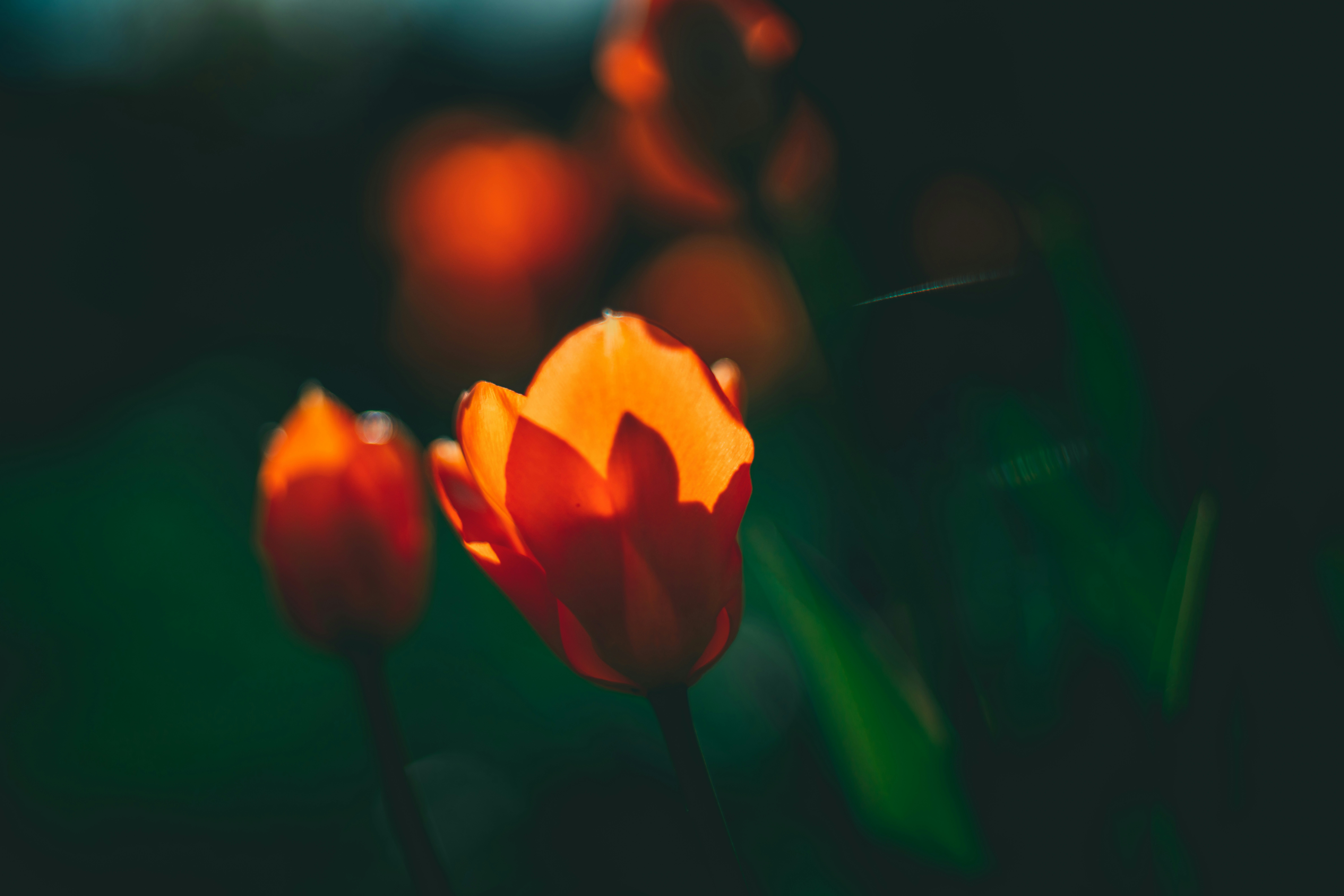 Photo by raimondklavins