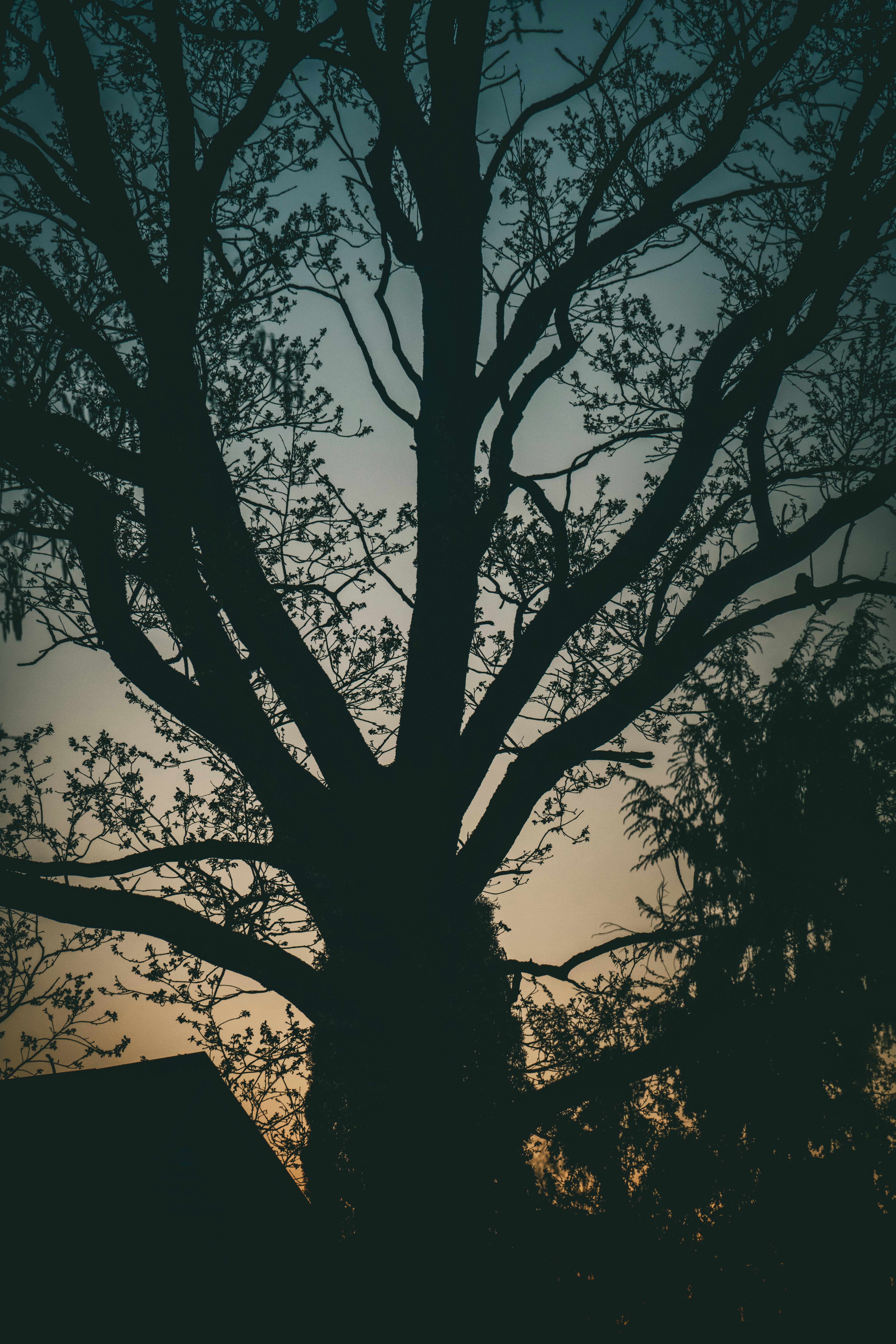 Photo by raimondklavins