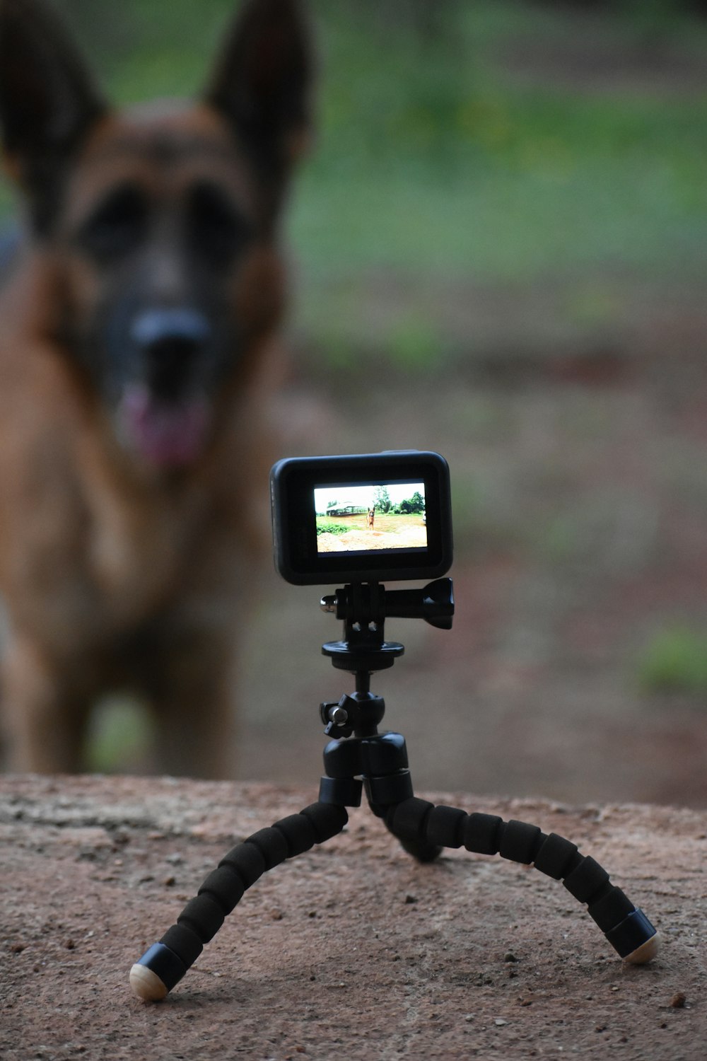 a small tripod with a camera attached to it