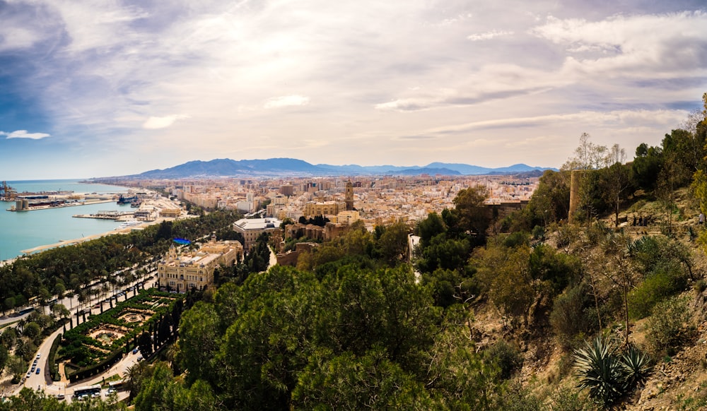 a scenic view of a city and a body of water