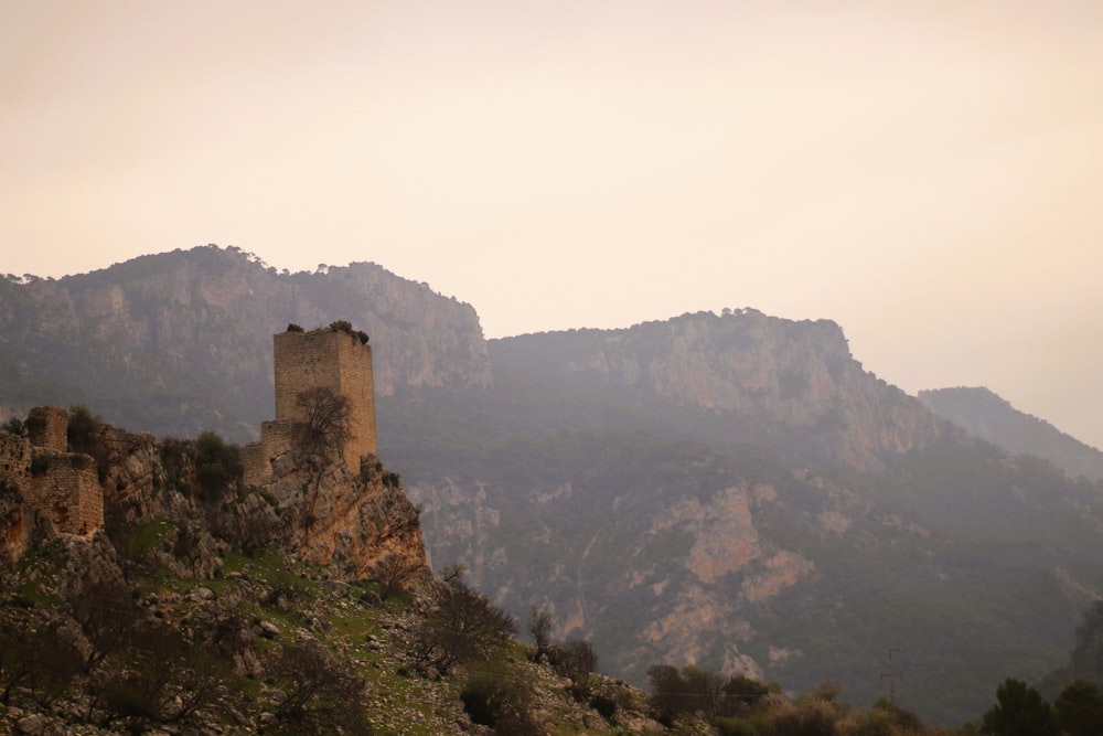 a castle sitting on top of a mountain next to a forest