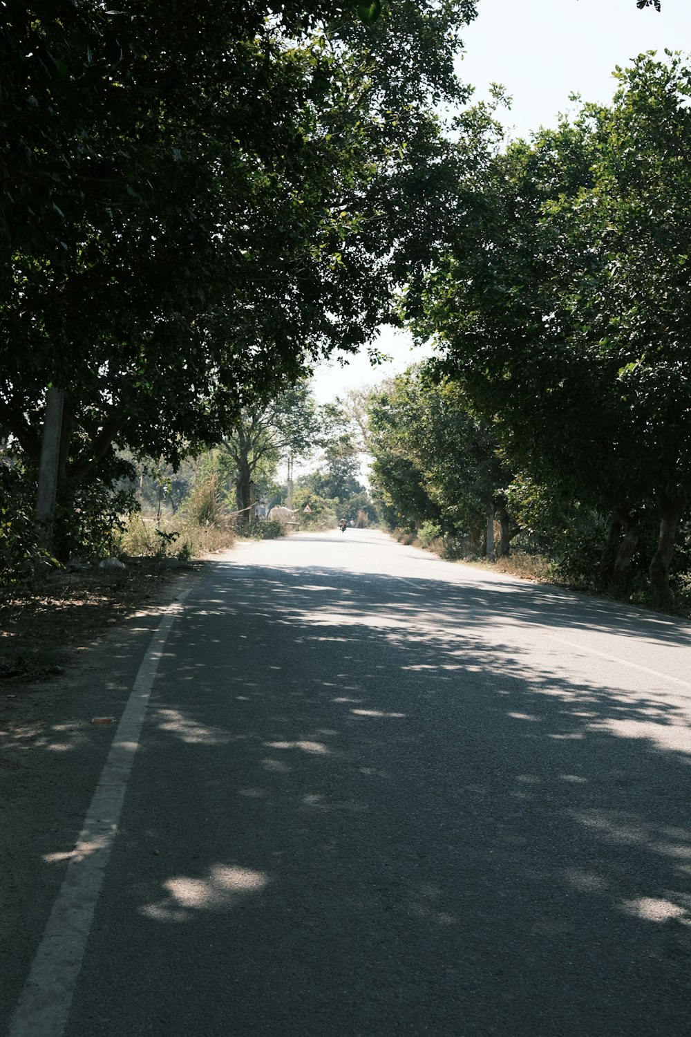 an empty street with trees on both sides