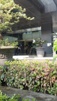 A freshly cleaned bank entrance with green plants accentuating the welcoming atmosphere.