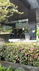A welcoming commercial entrance adorned with lush, vibrant planters arranged thoughtfully.