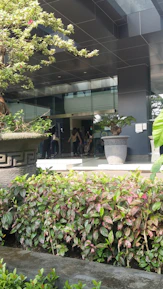 Stylish commercial entrance adorned with professionally maintained plants.