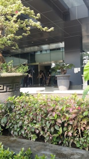 Lush greenery is in the foreground with a variety of vibrant leaves in shades of green and pink. Two large decorative planters flanking the entrance hold small trees. The building has a modern architectural design with glass doors reflecting light, adding a contemporary feel.