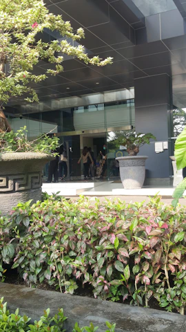 Stylish commercial entrance adorned with professionally maintained plants.