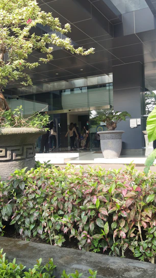 A vibrant entrance adorned with lush green planters and colorful flowers, inviting and well-maintained.