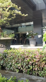 Lush greenery is in the foreground with a variety of vibrant leaves in shades of green and pink. Two large decorative planters flanking the entrance hold small trees. The building has a modern architectural design with glass doors reflecting light, adding a contemporary feel.