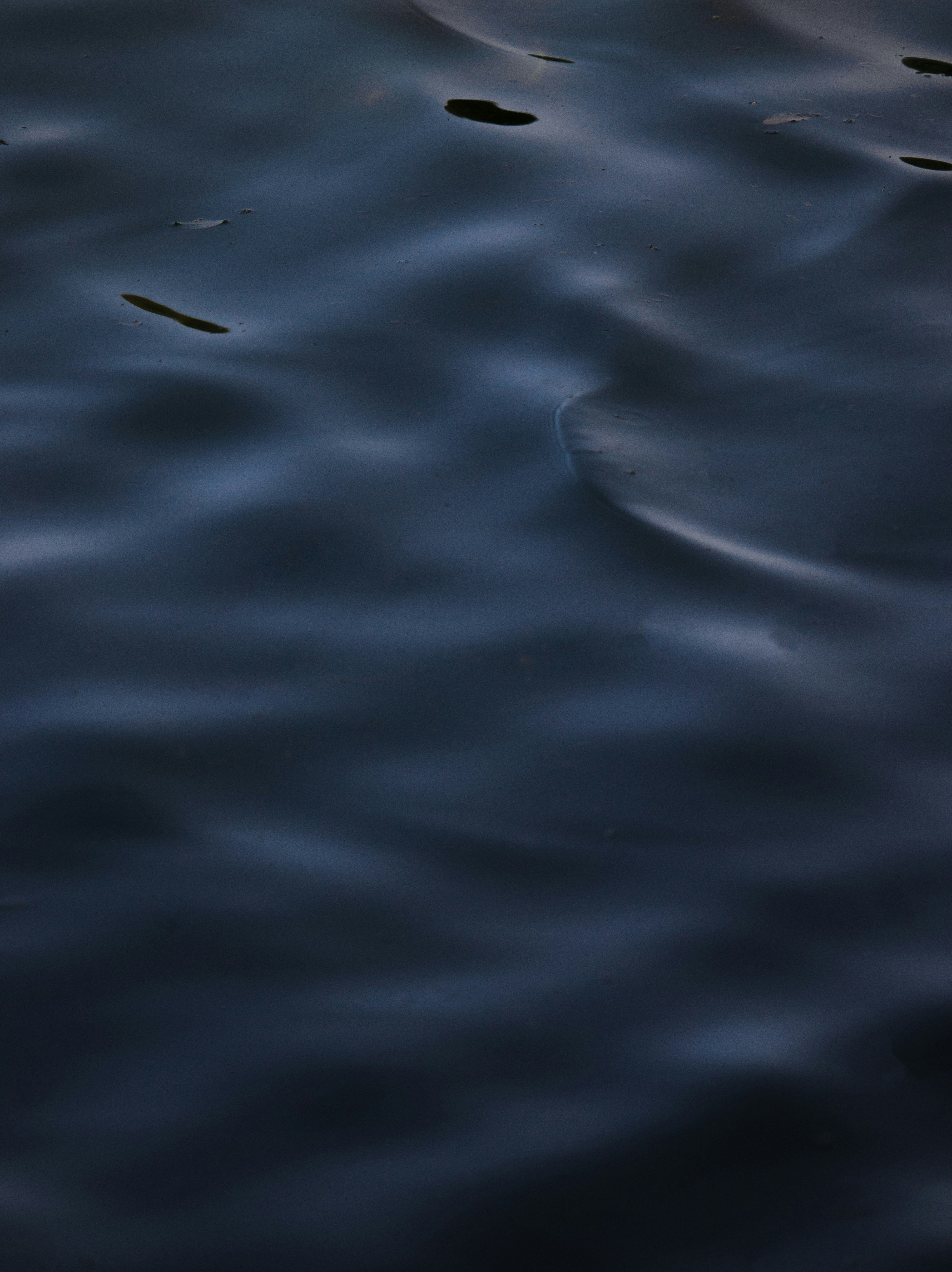 Photo by sinabahar76