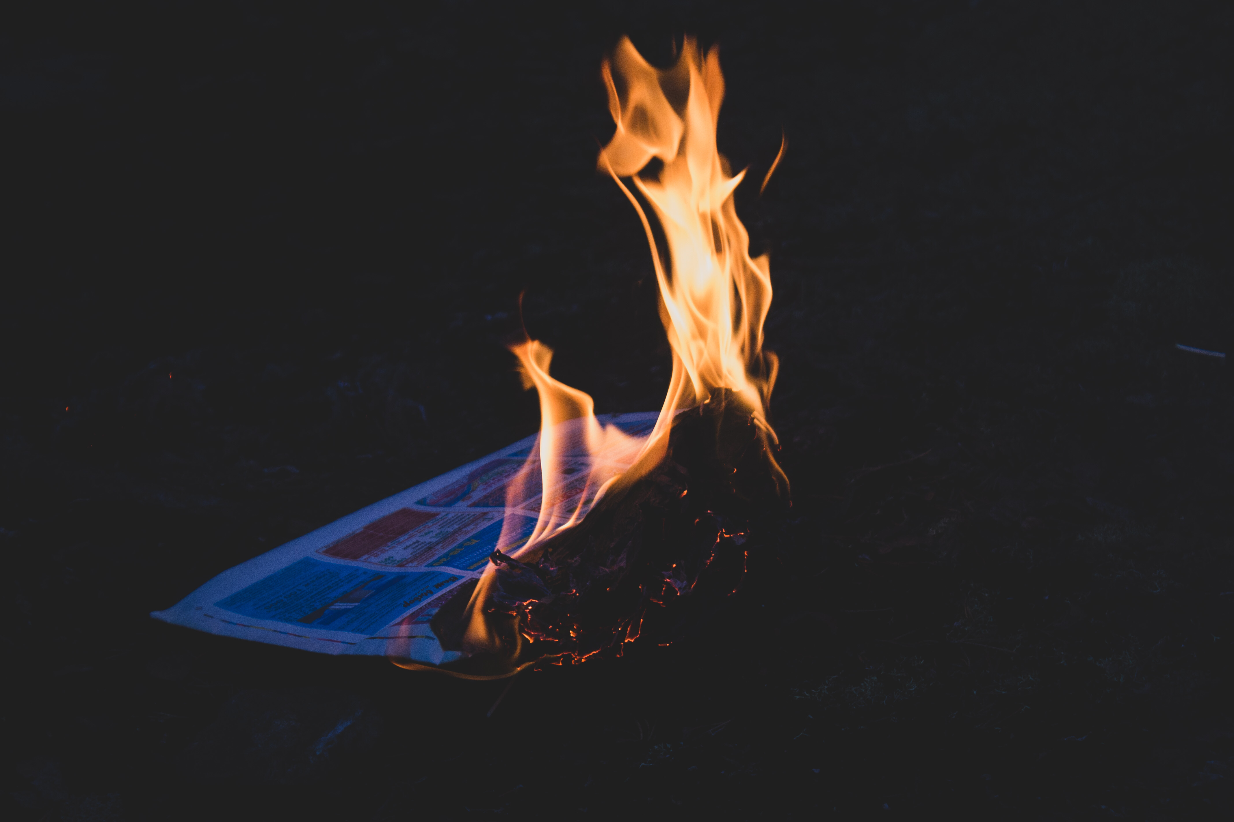 wordpress digital free fire