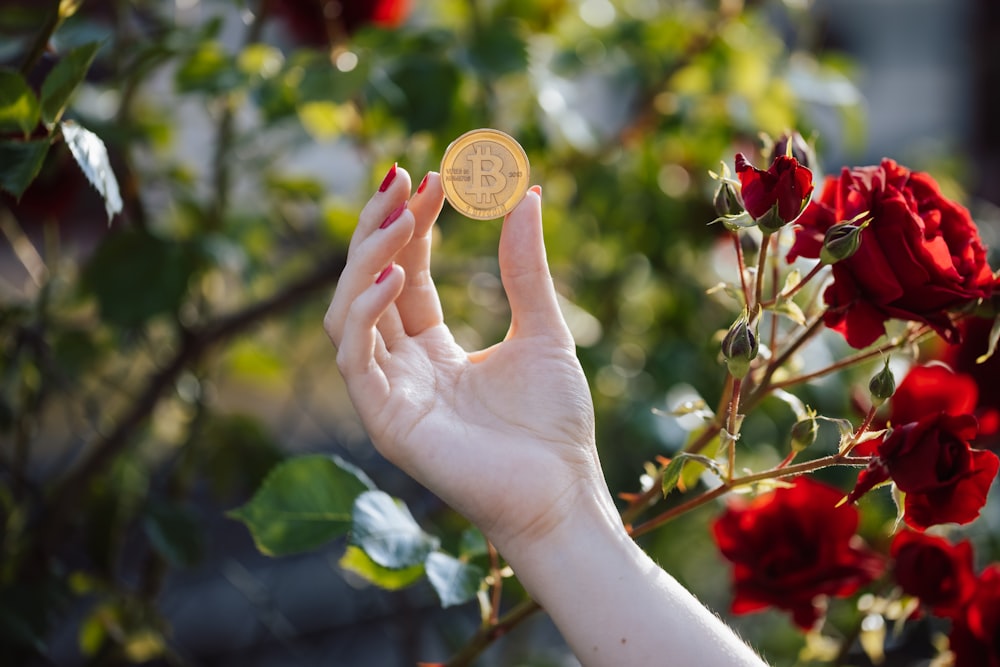 a woman's hand holding a gold coin in front of red roses