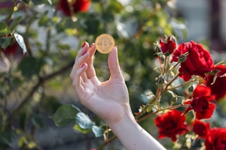 a woman's hand holding a small gold coin in front of red roses