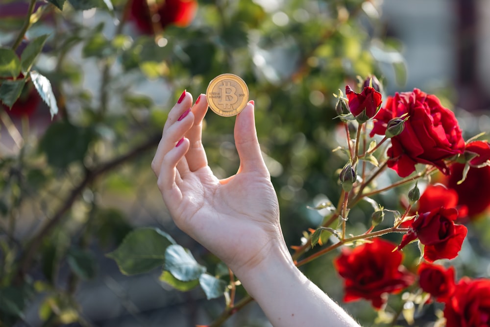 a woman's hand holding a small gold coin in front of red roses