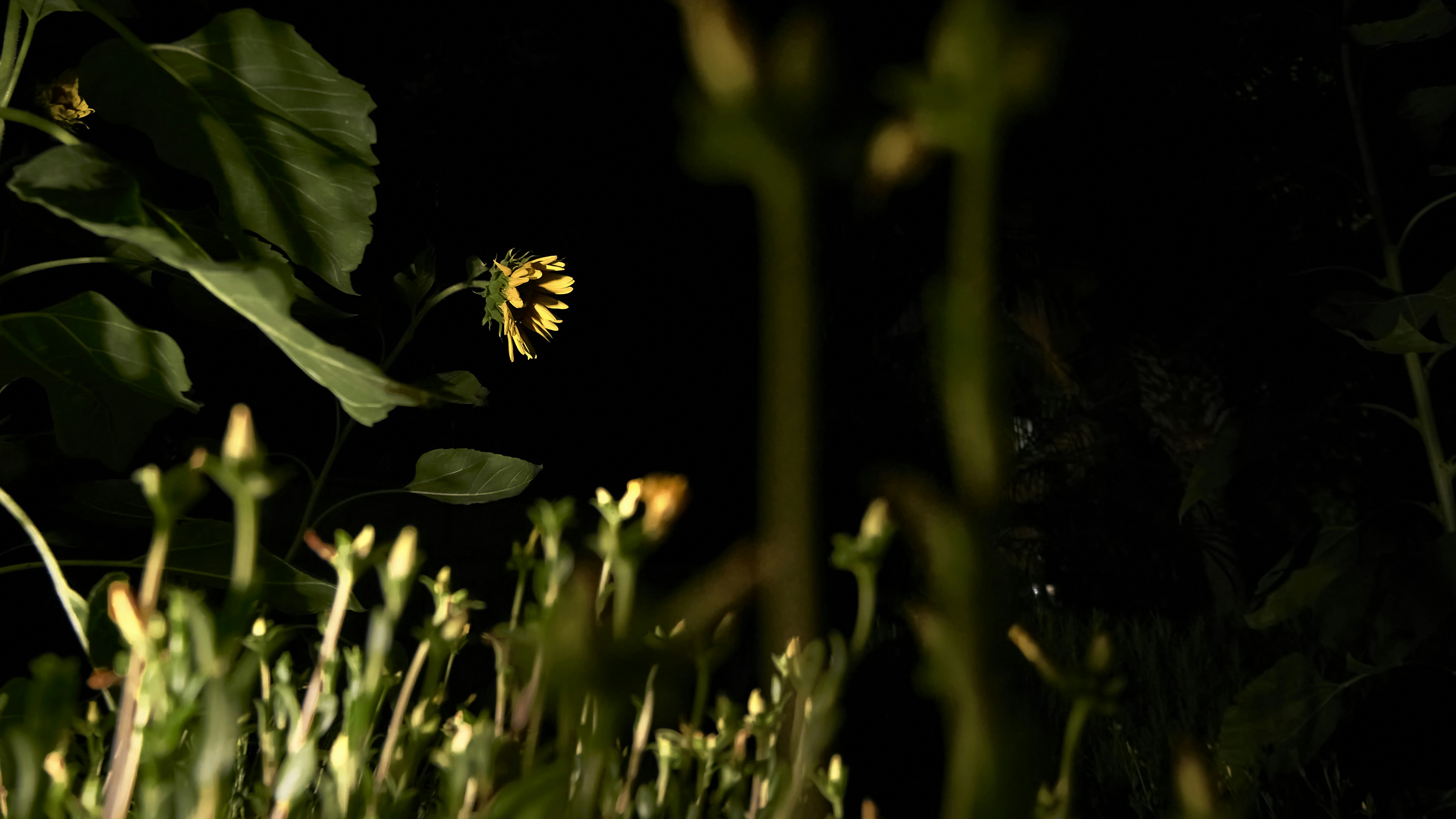 Effect of Sodium Hydroxide (NaOH) in Bitumen Separation Process From Asbuton in Hot Wate Image