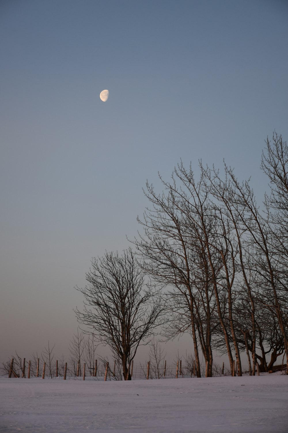 a full moon rises over a snowy landscape