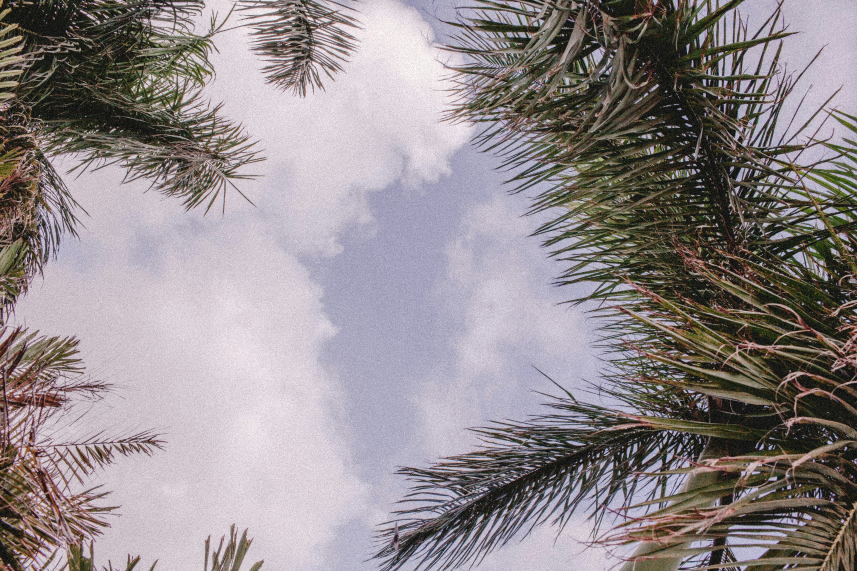 Photo by stockholmparis