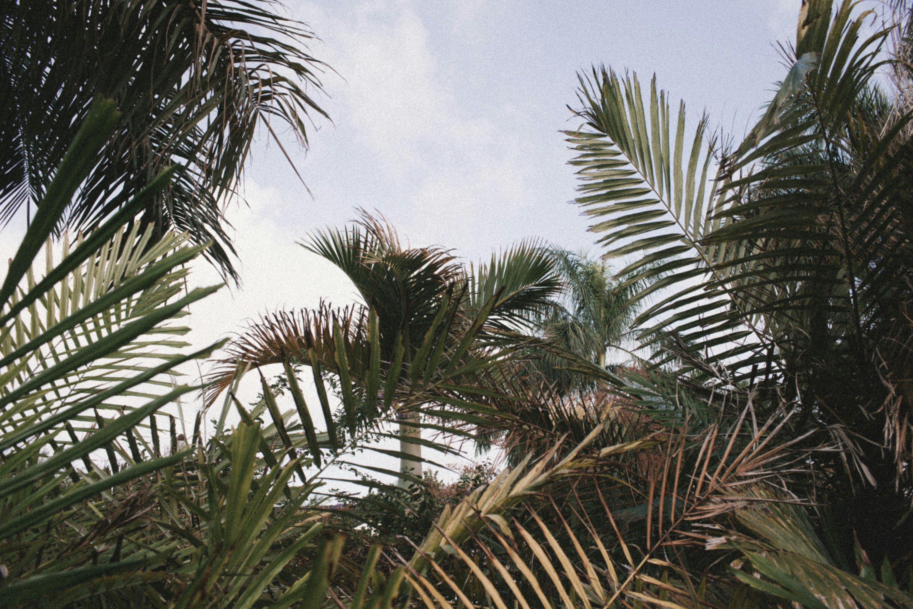 Photo by stockholmparis