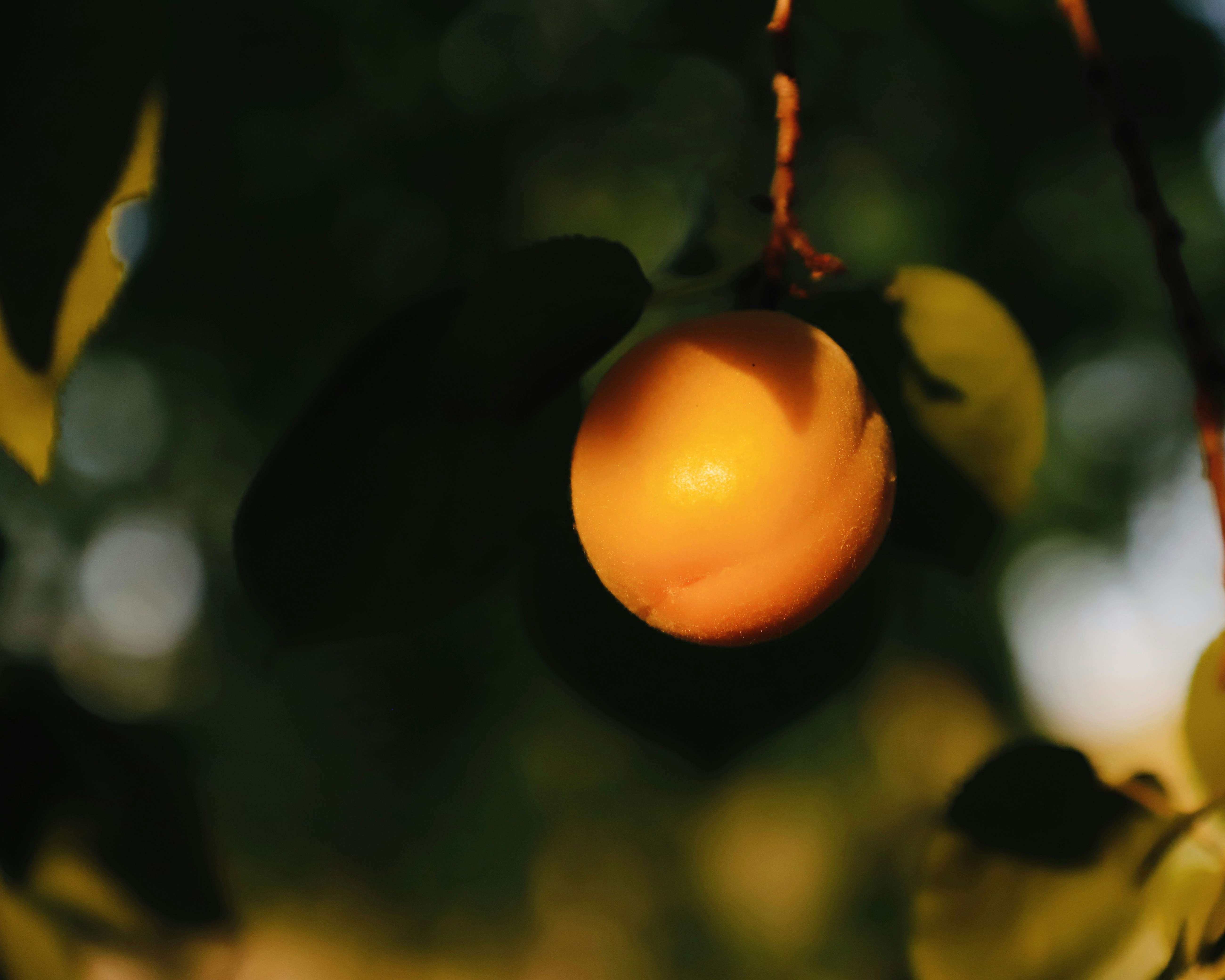 Photo by galaxyhunter