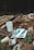 A garden area with raised beds containing soil. There are scattered rocks around, a white bucket with a maple leaf design, and a couple of bags of sheep manure lying on the ground. The area appears to be prepared for planting, with some small green plants visible.