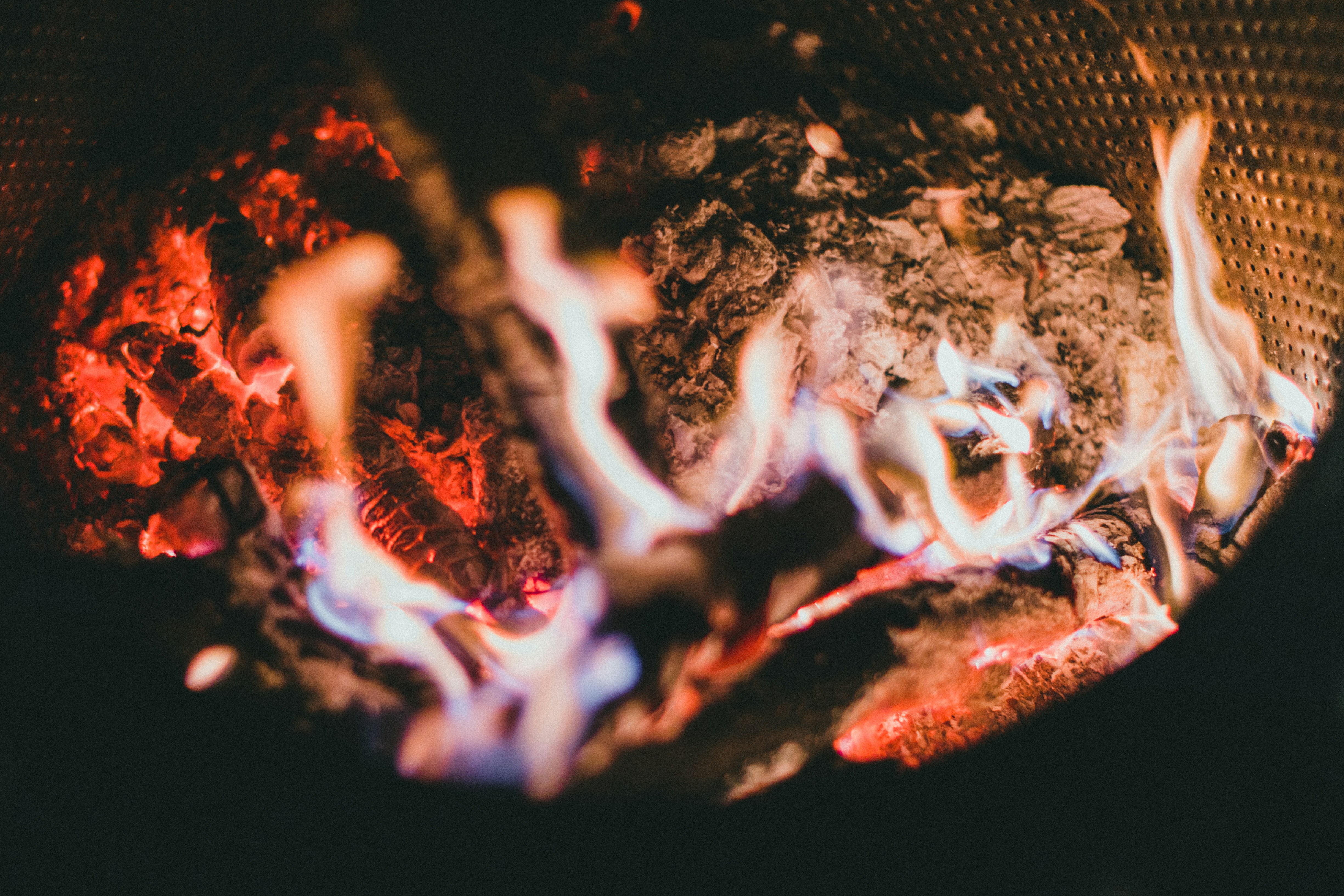 Photo by theshuttervision