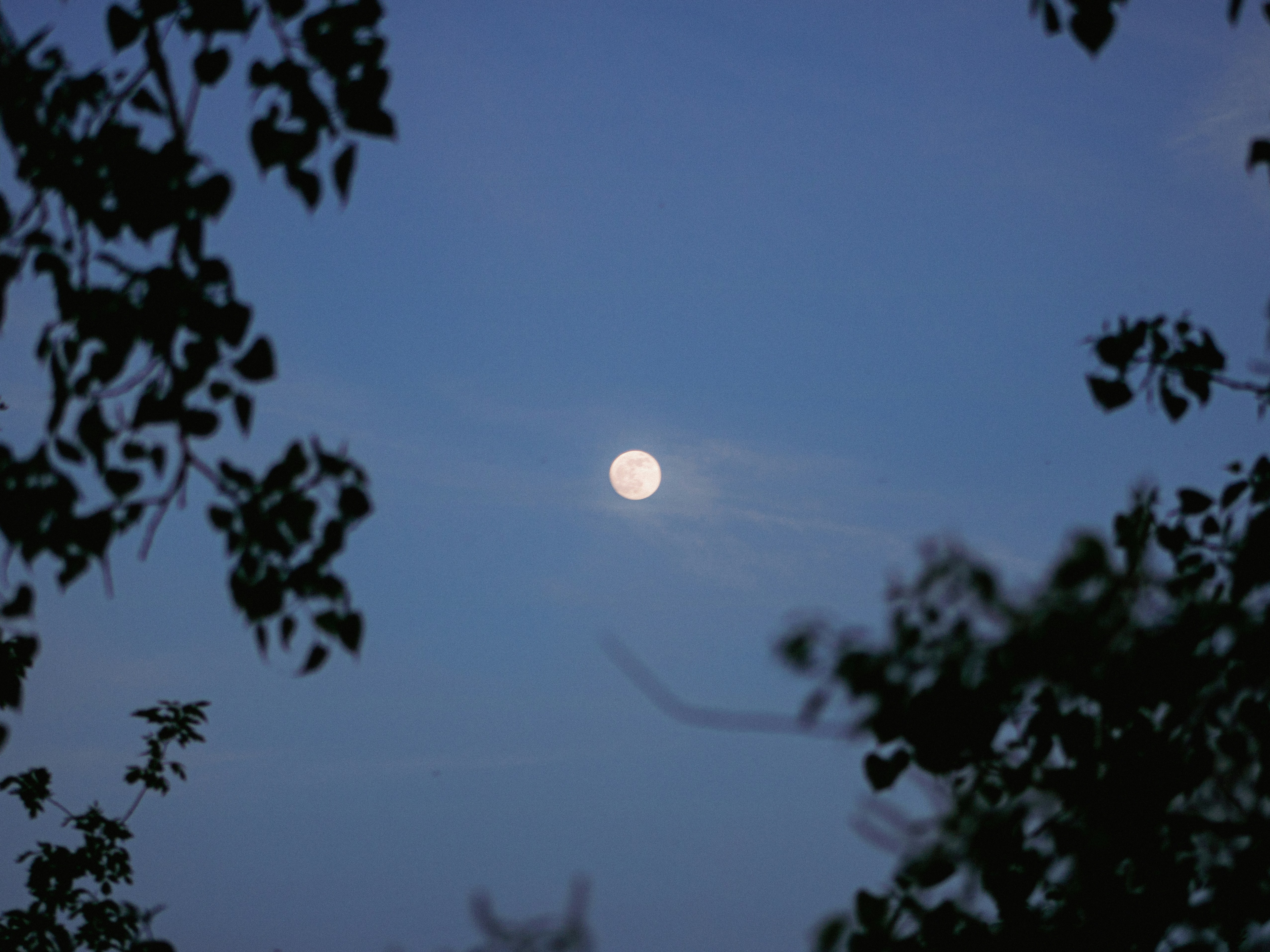 Photo by raymondburrage