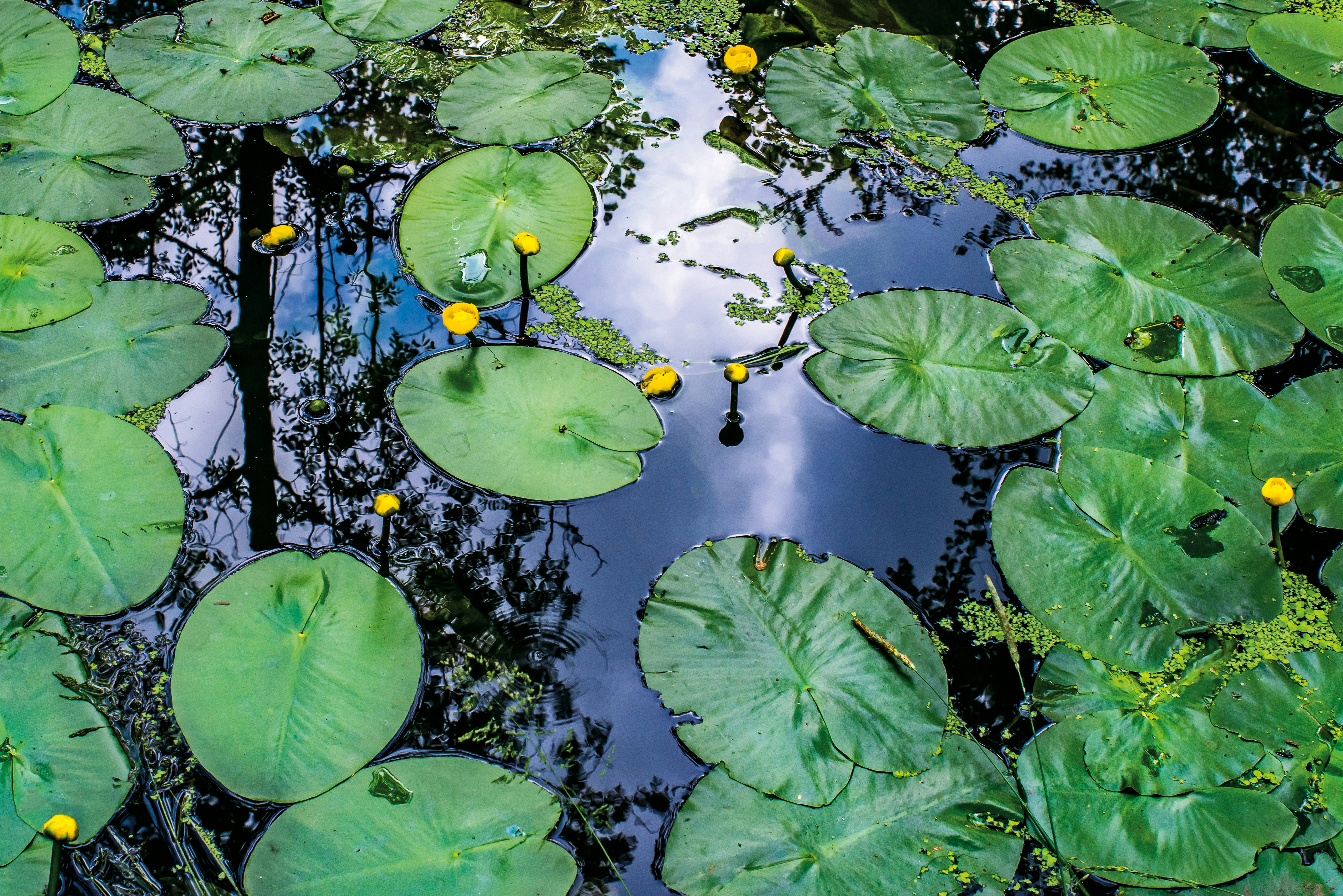 Photo by switch_dtp_fotografie