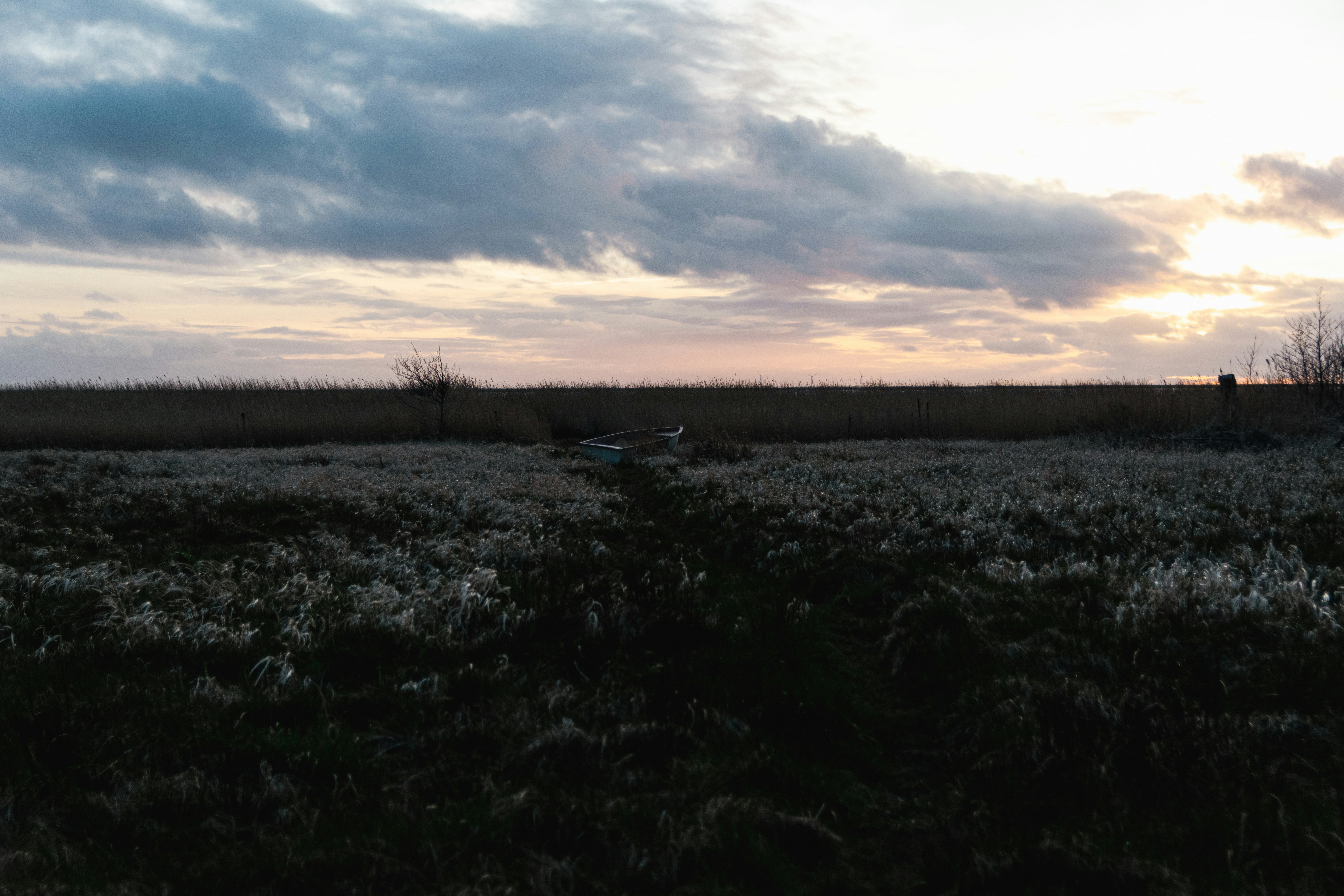 Photo by binekrafczyk