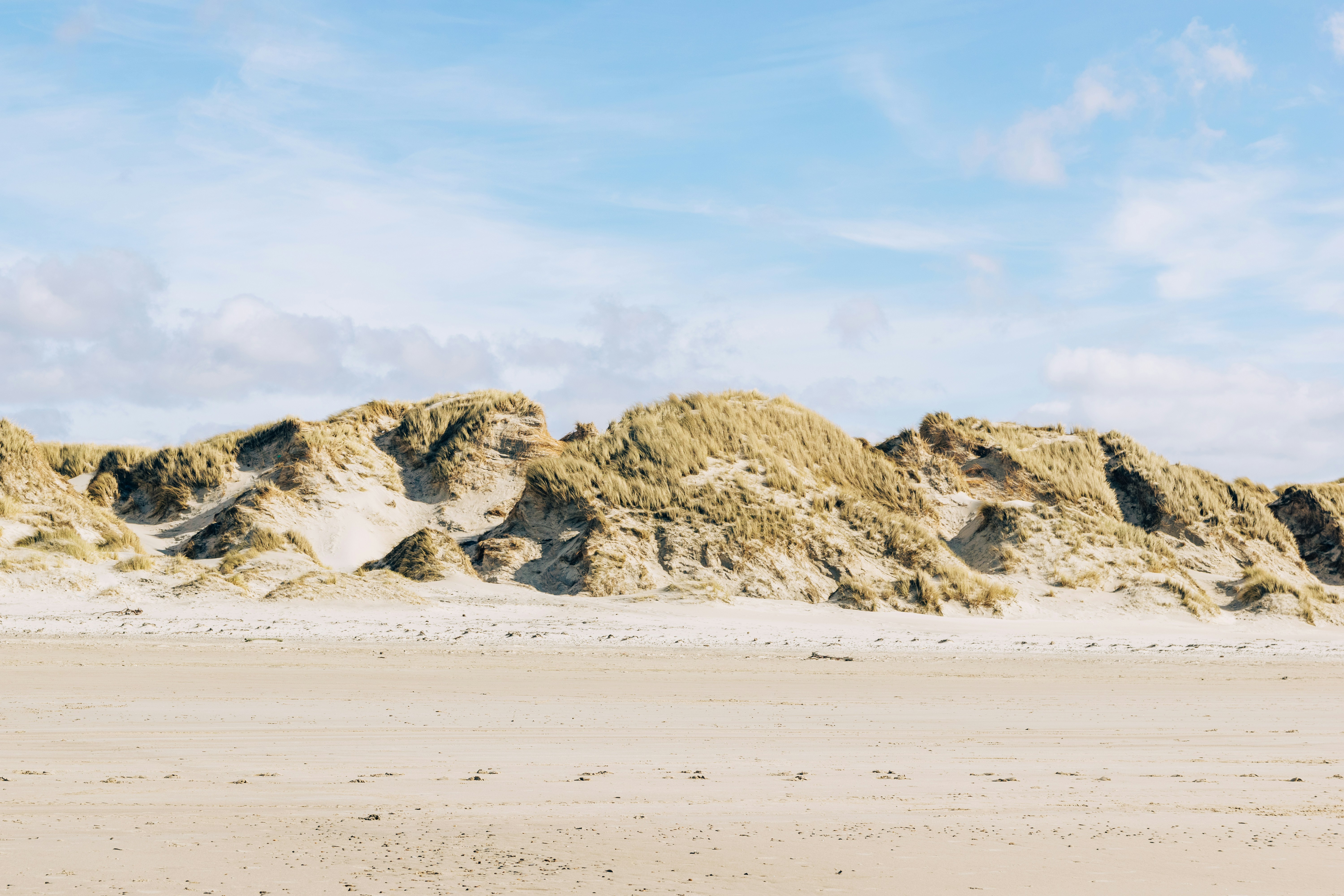 Photo by binekrafczyk