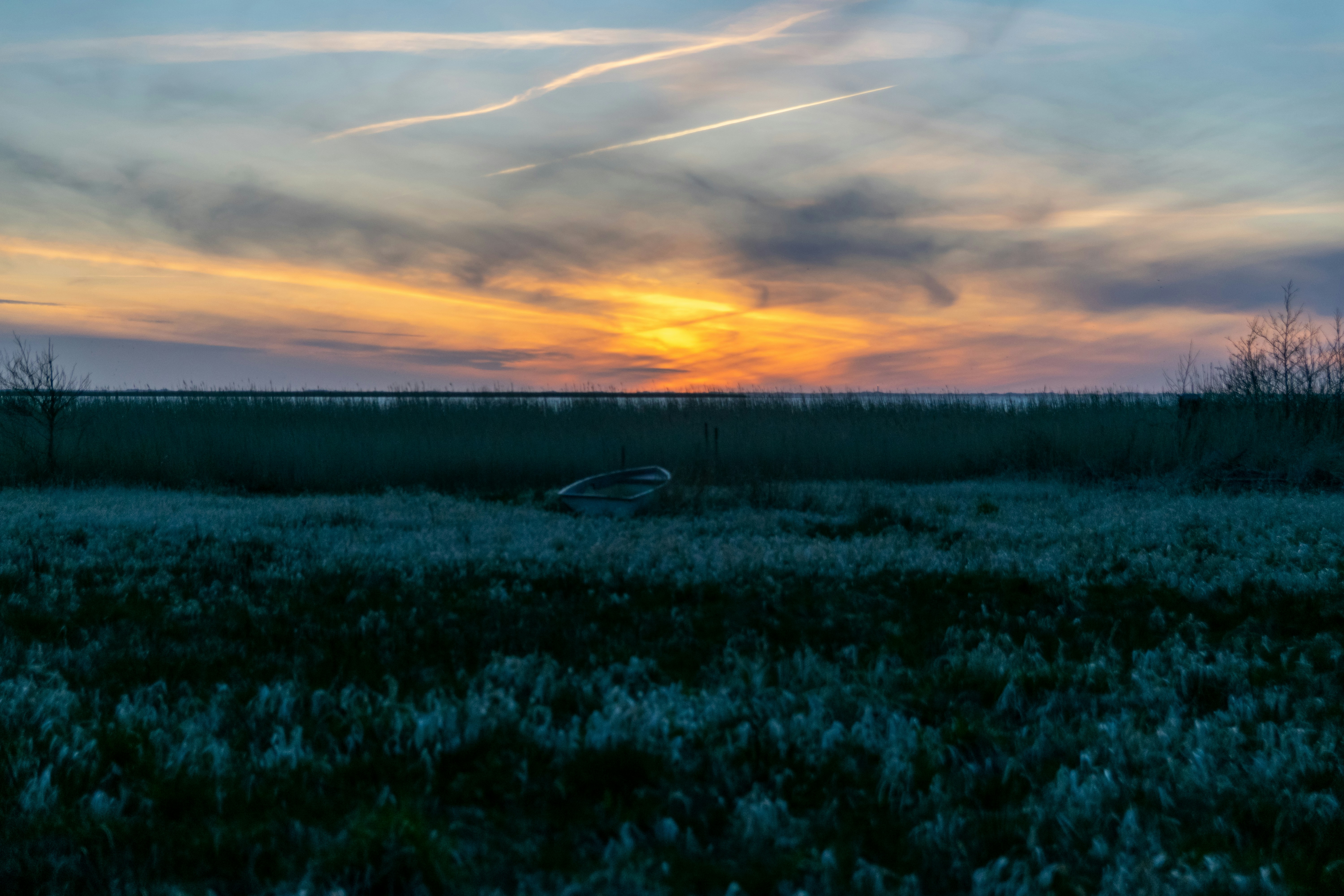 Photo by binekrafczyk