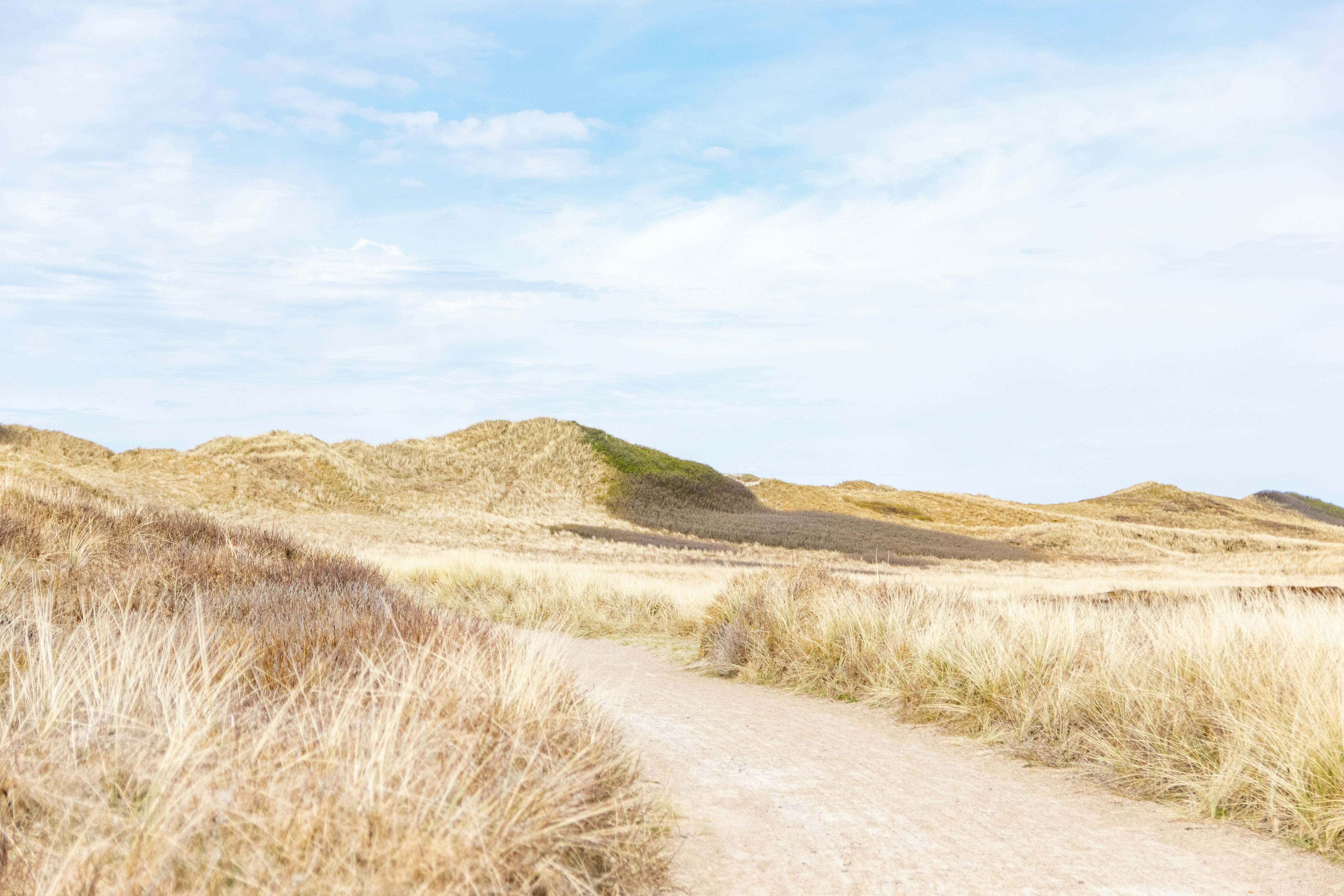 Photo by binekrafczyk