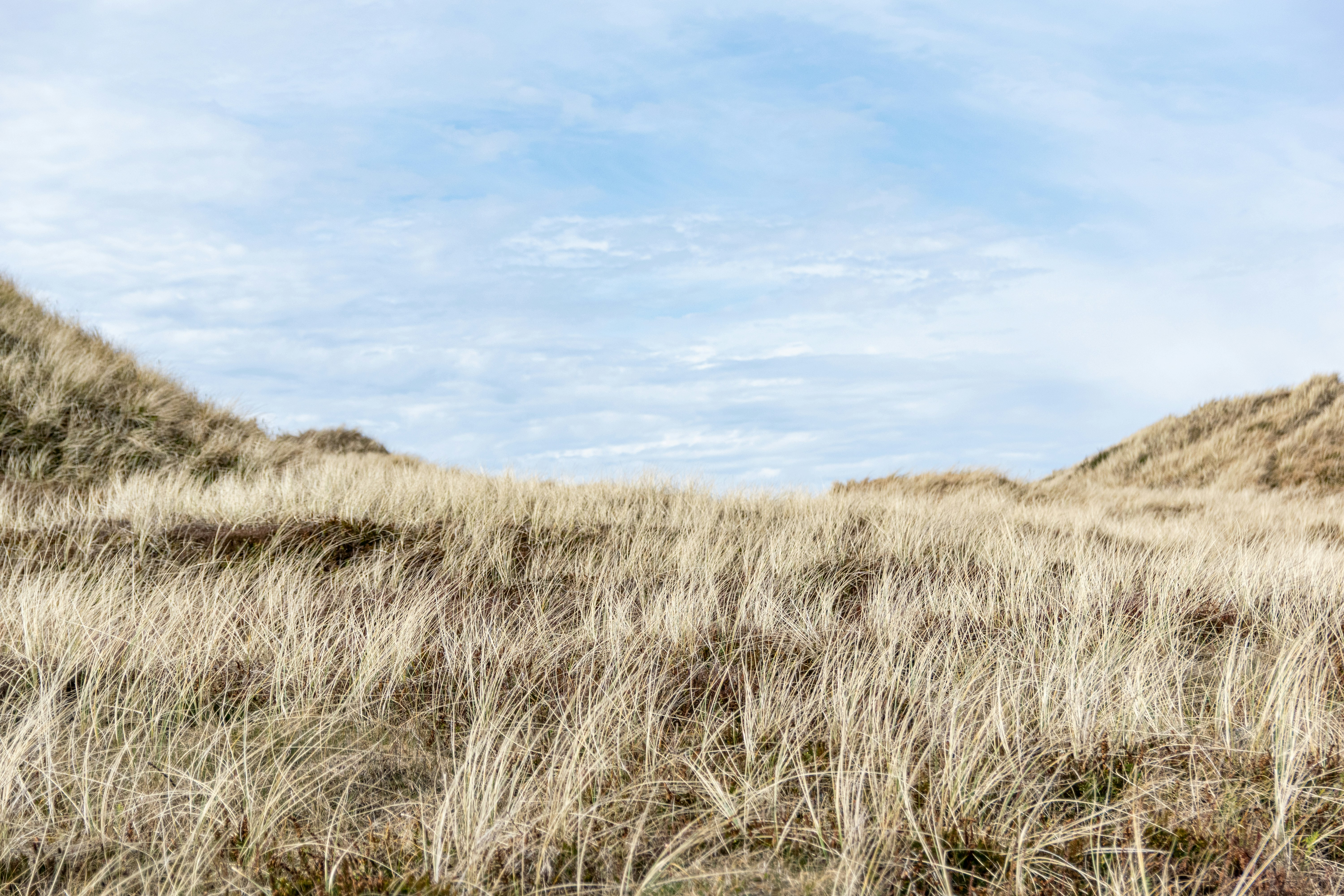 Photo by binekrafczyk